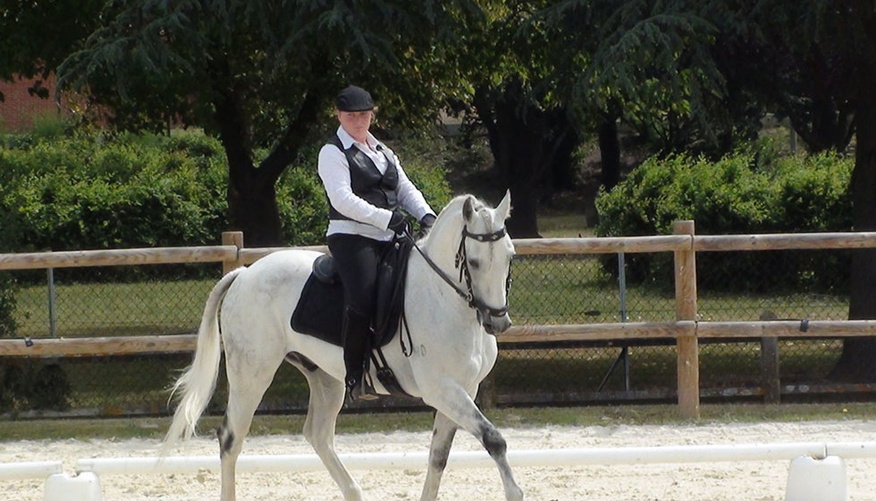 Ecurieterranaise