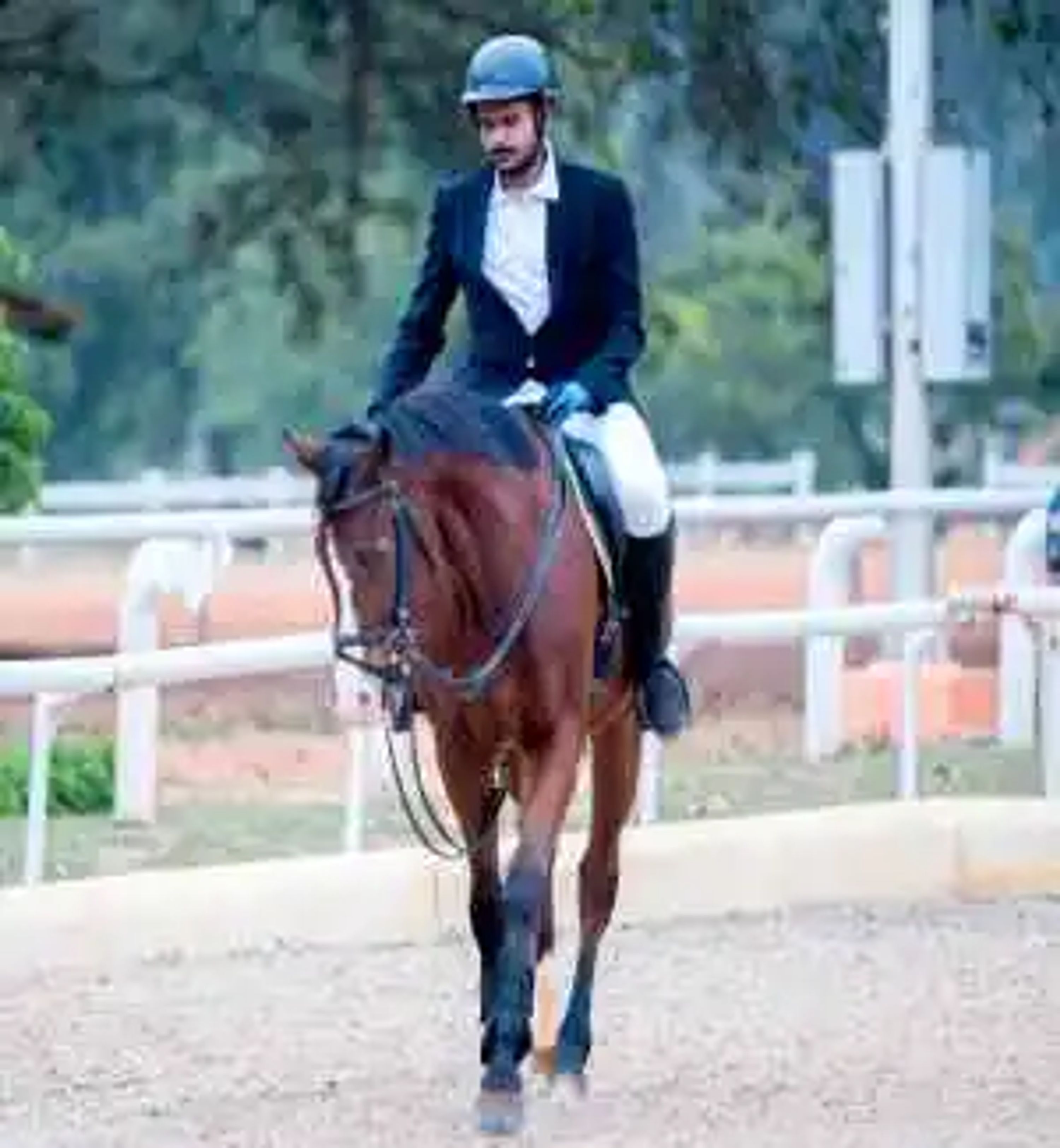 Zippy Equestrian Center