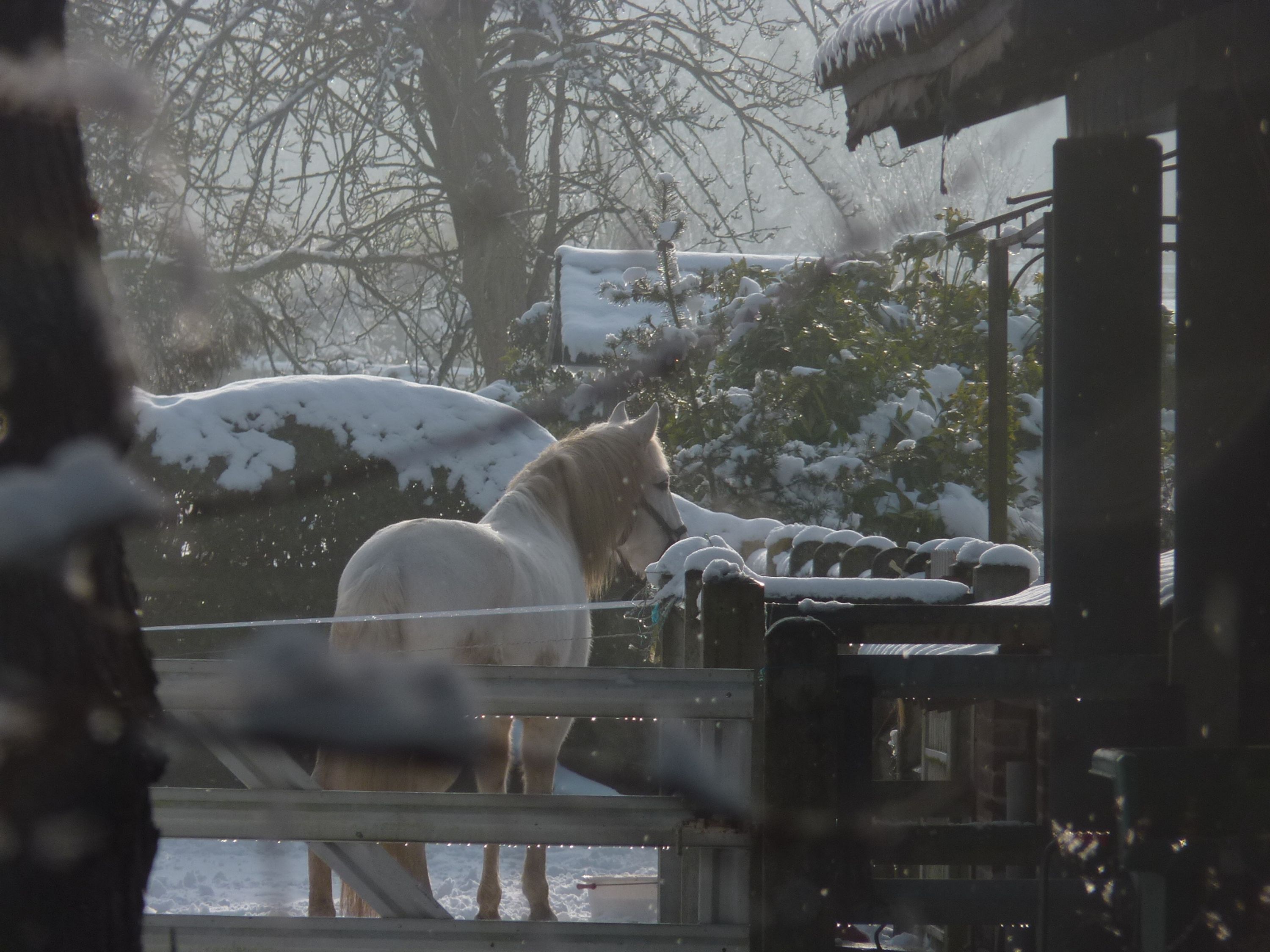 Yoga And Disciplines And Related