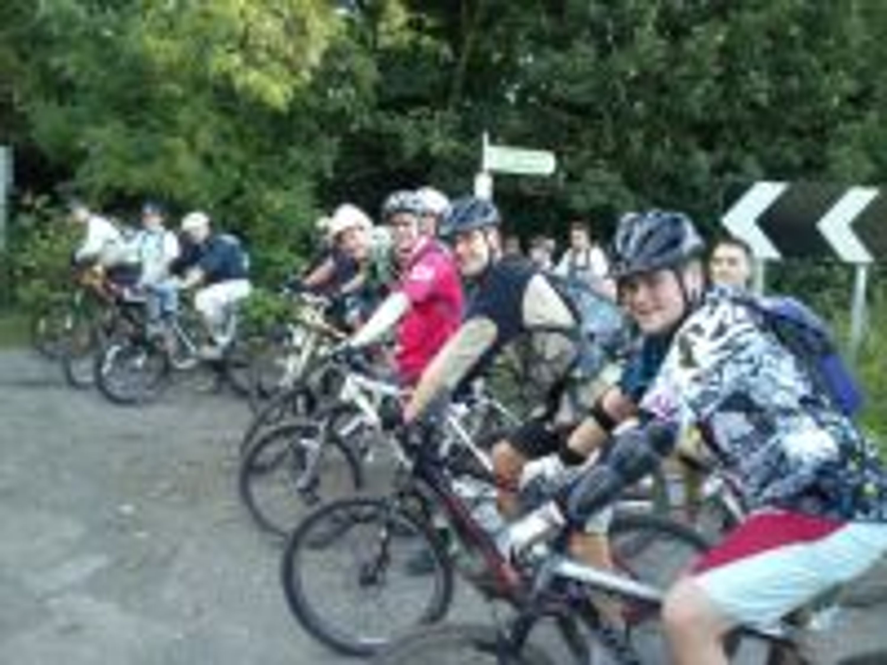 Crazy Wood VTT