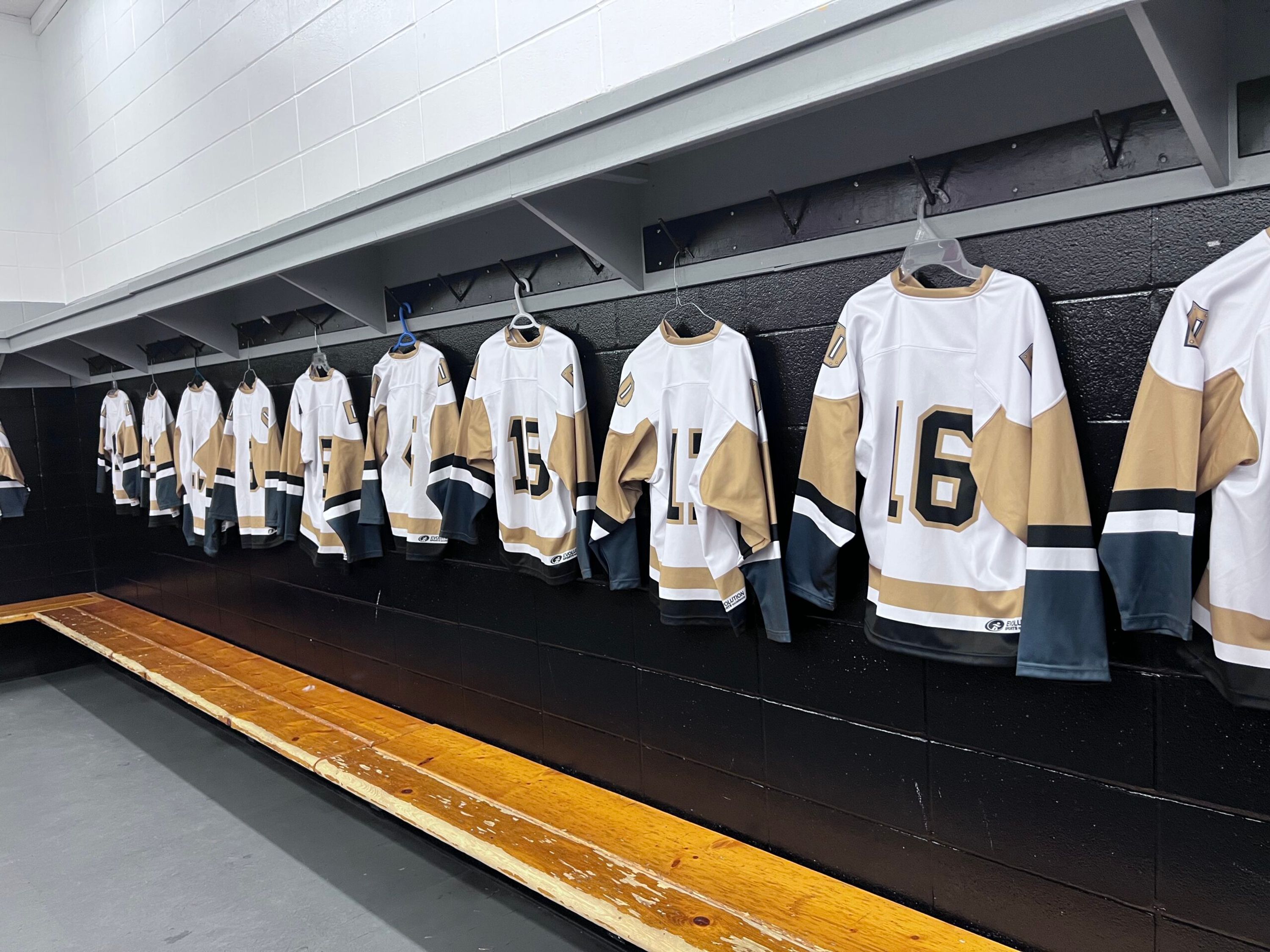 Devon Minor Hockey Association