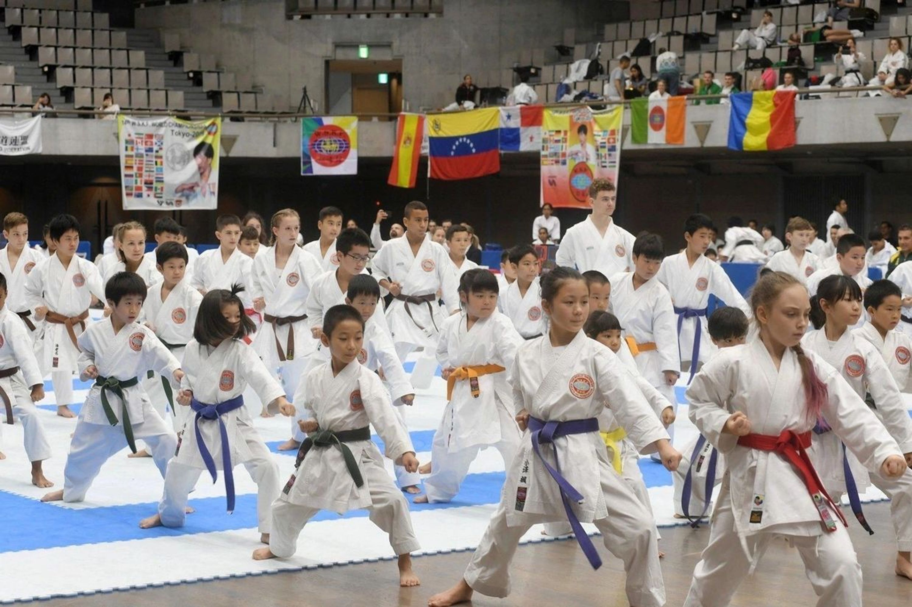 Jindokai Karate-Do: Playford Dojo