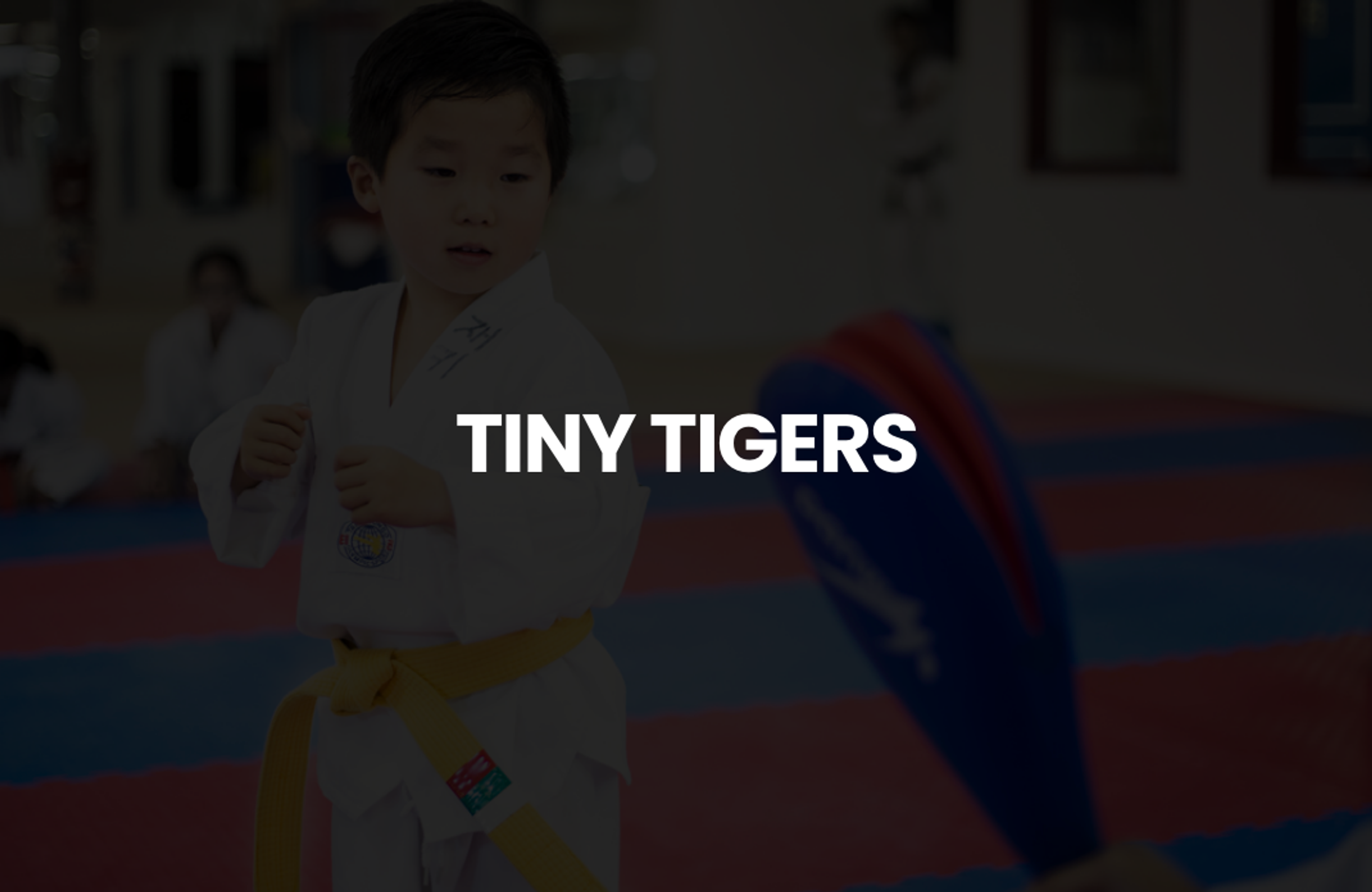 Son's Taekwondo Academy