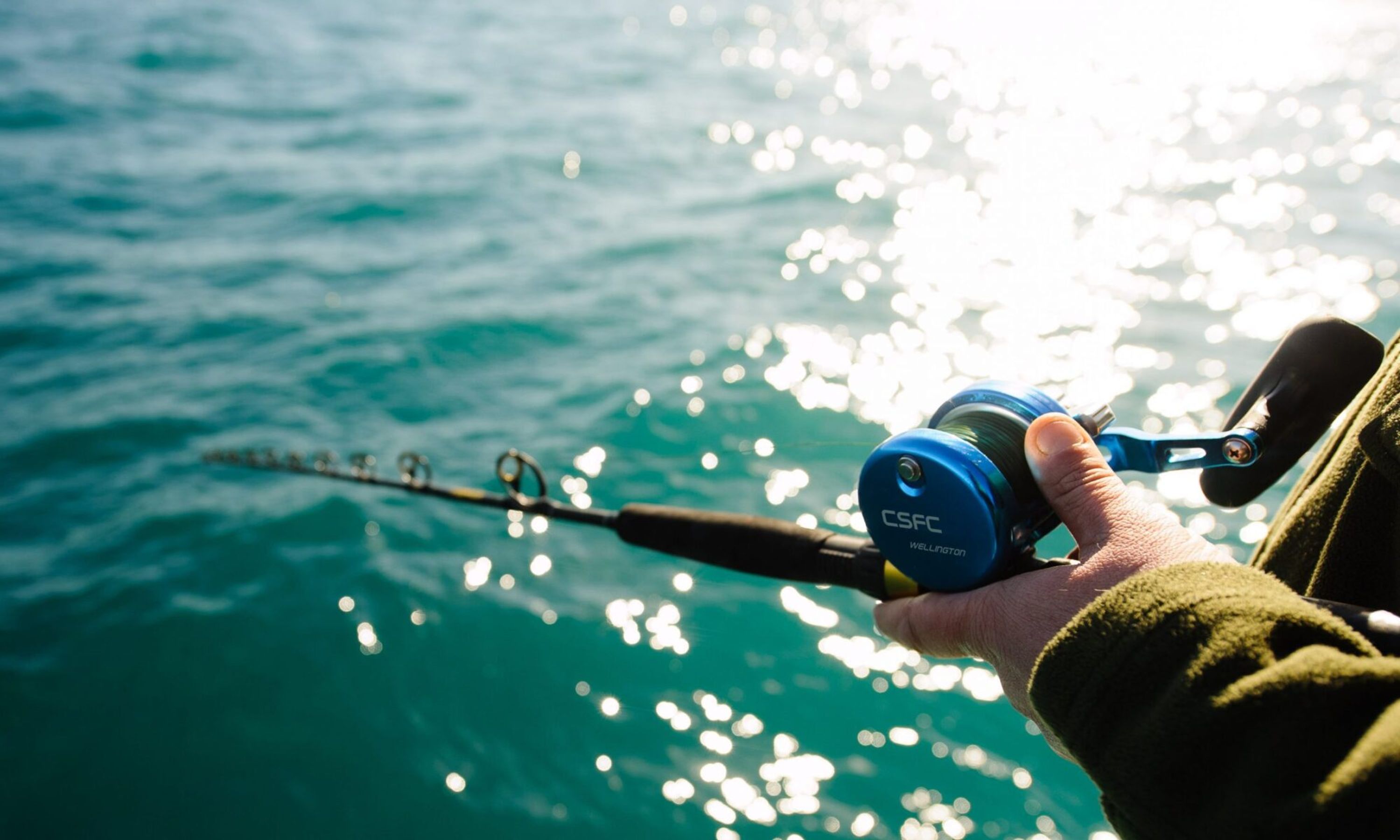 Cook Strait Fishing Charters