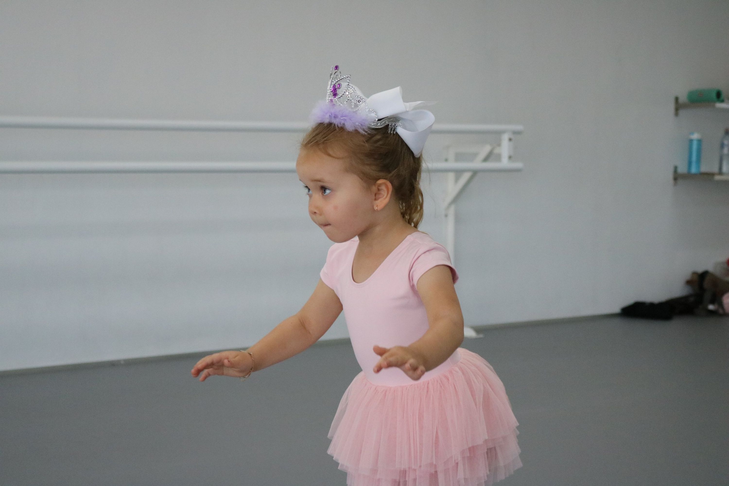 Cygnets Dance