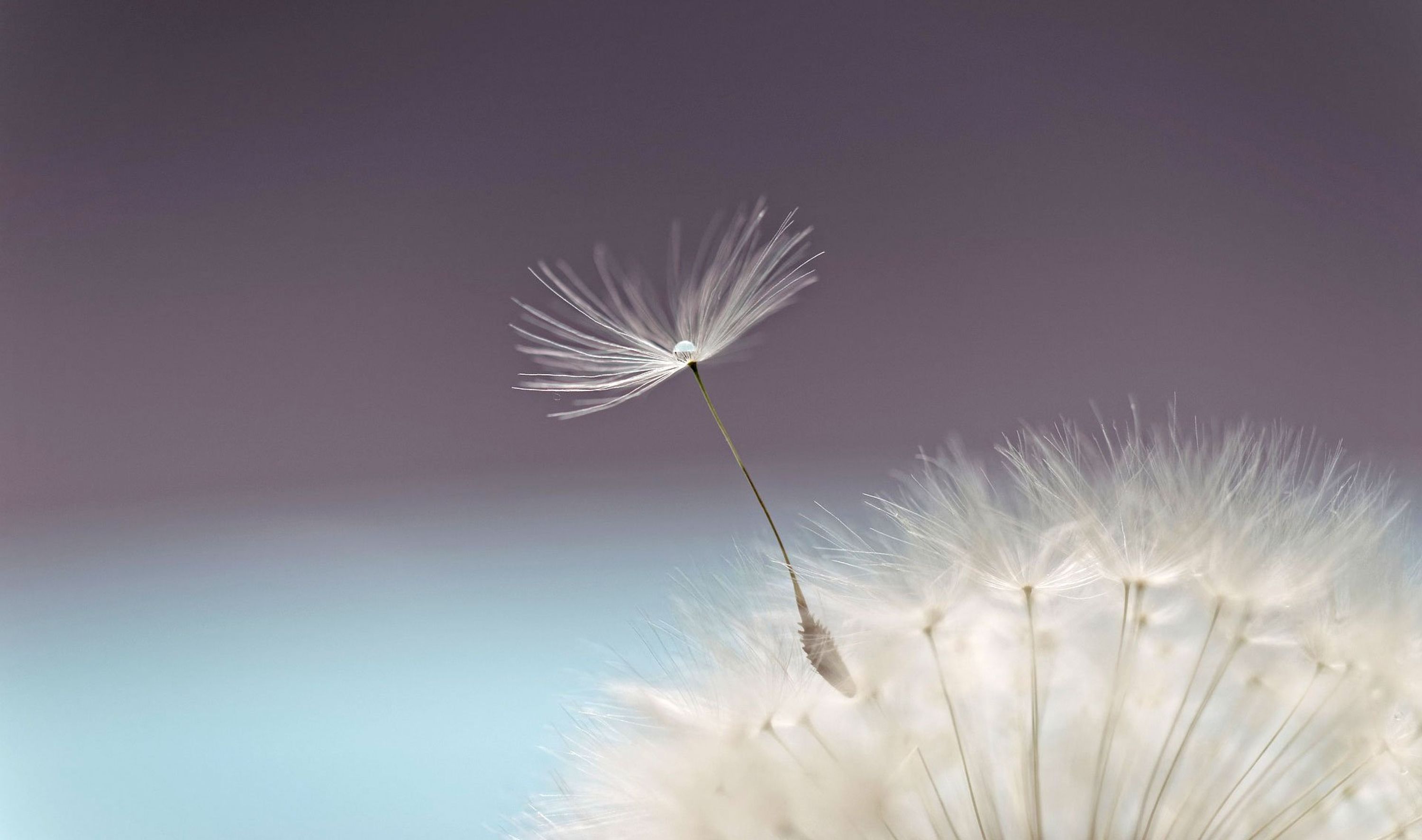 Space An Breath Association Cours De Yoga