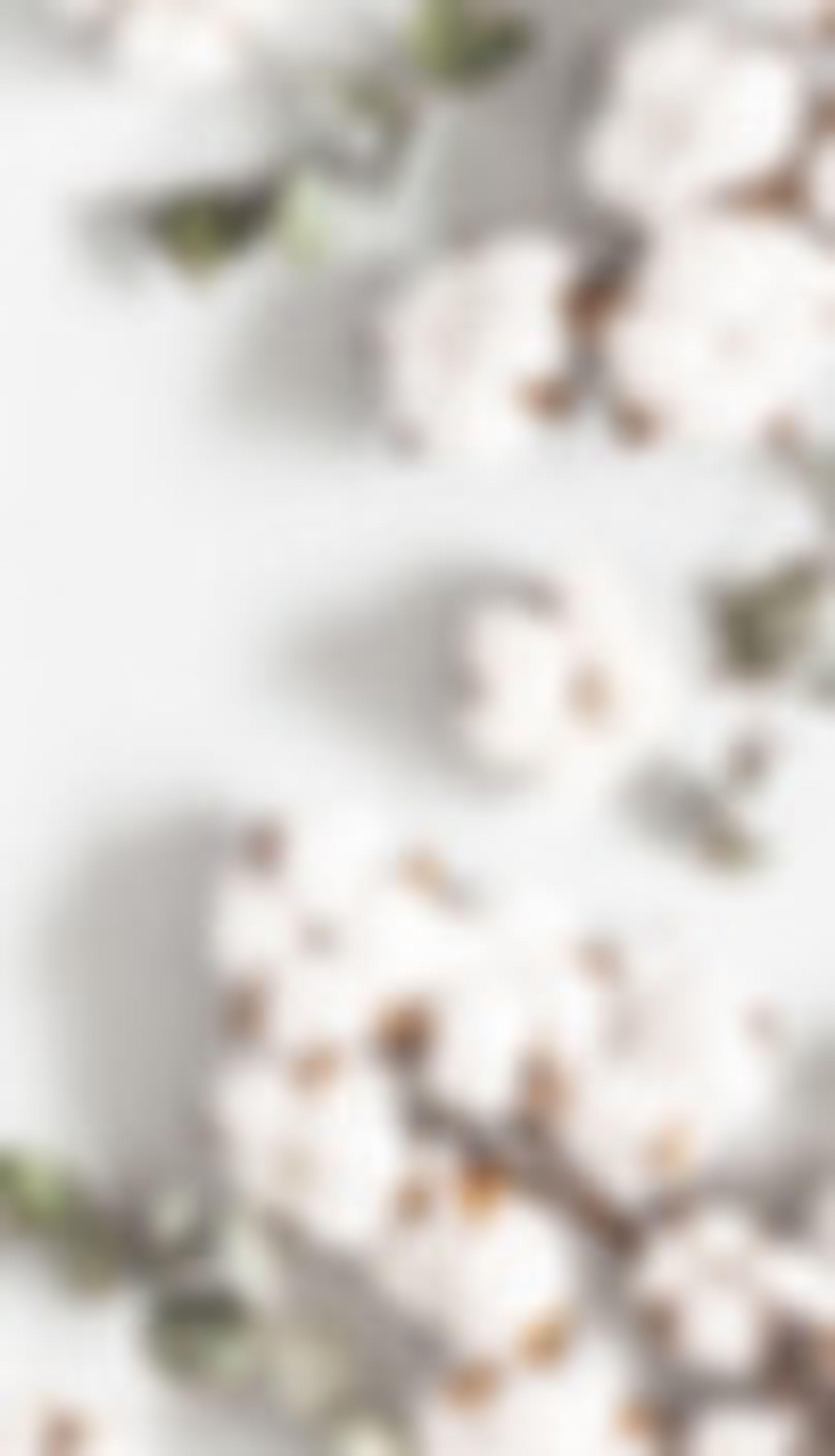 Harmonie Coach