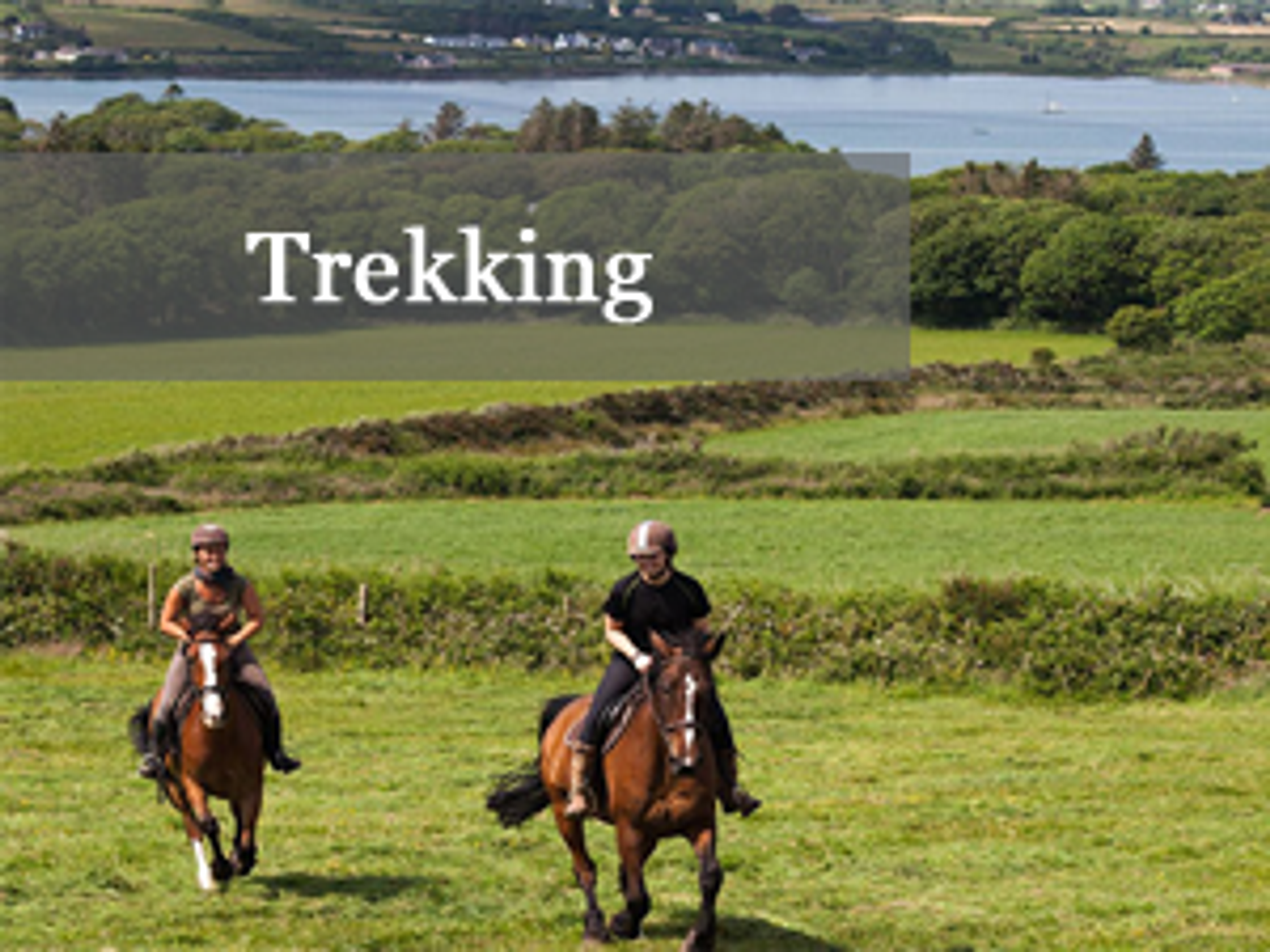 Burnham Children and Teen Pony Camps