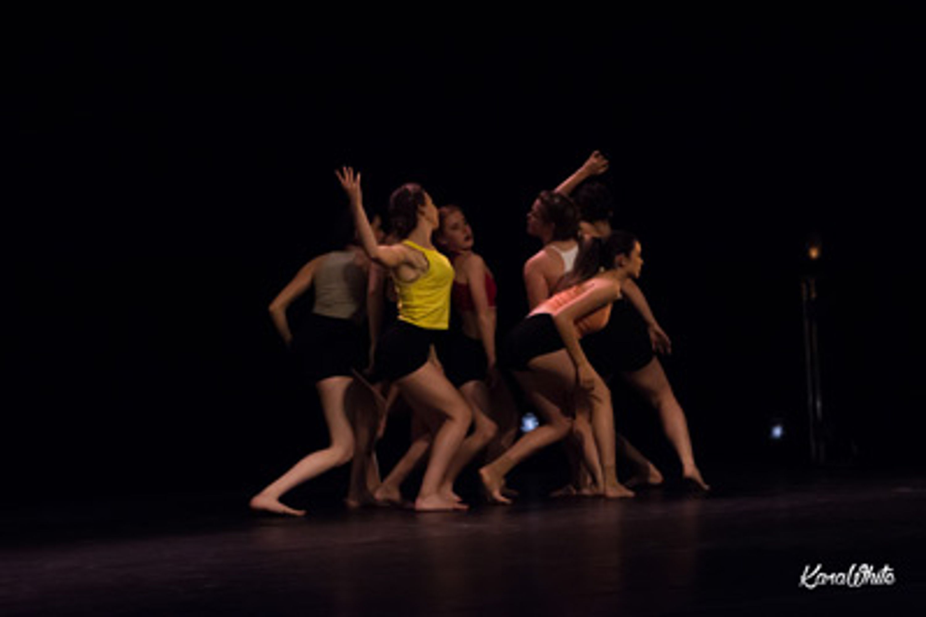 Dance School - Dansencorps