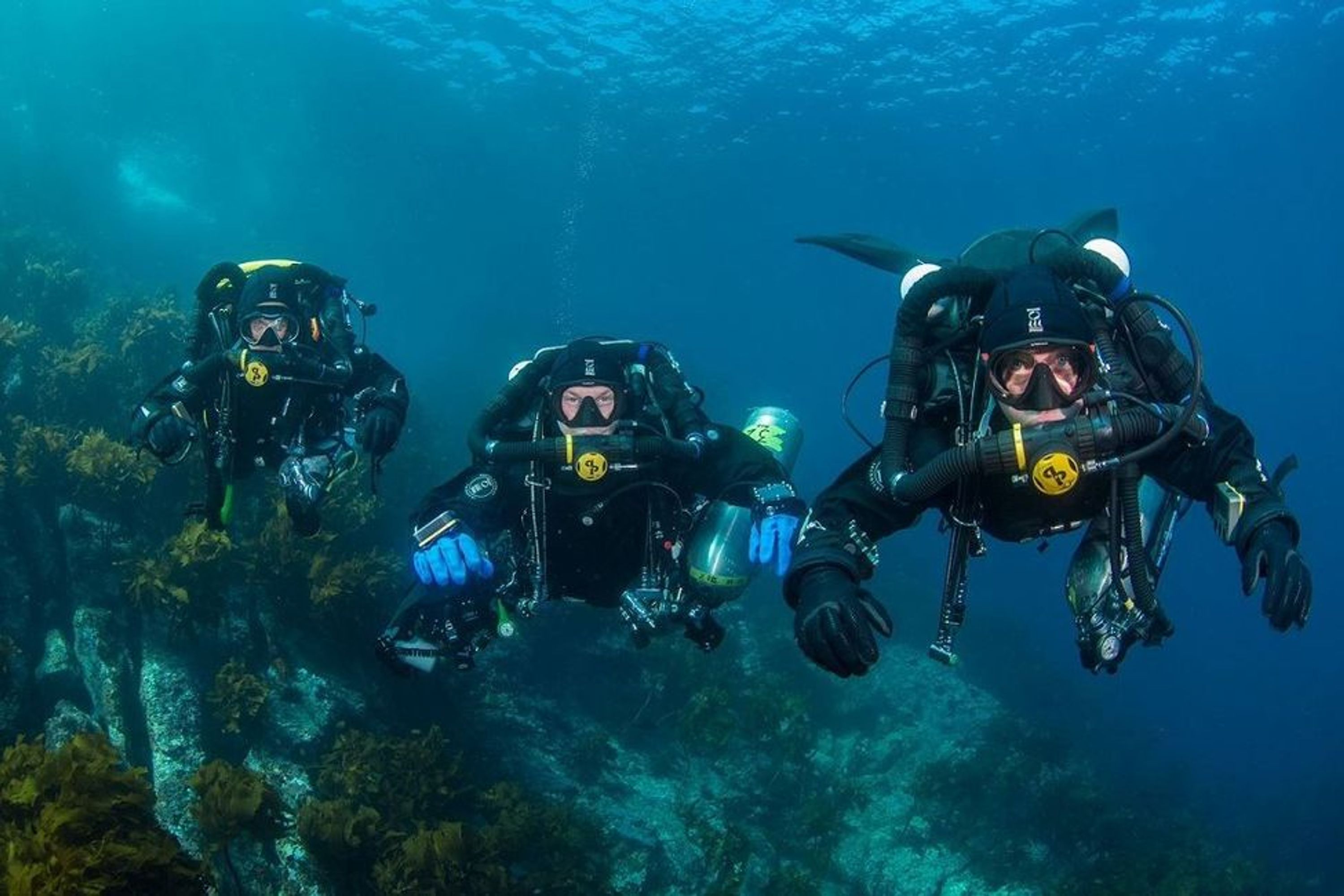 Global Dive