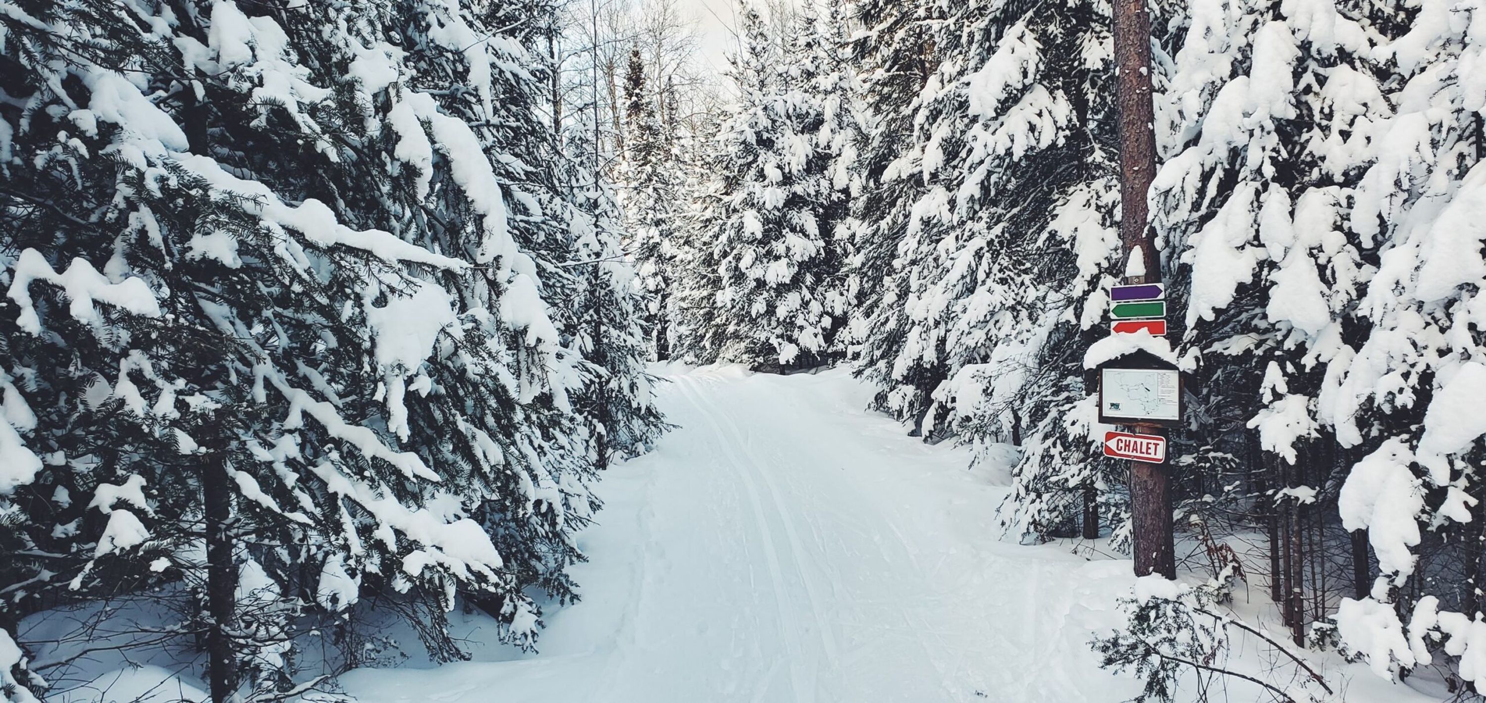 Wasi Cross Country Ski Club