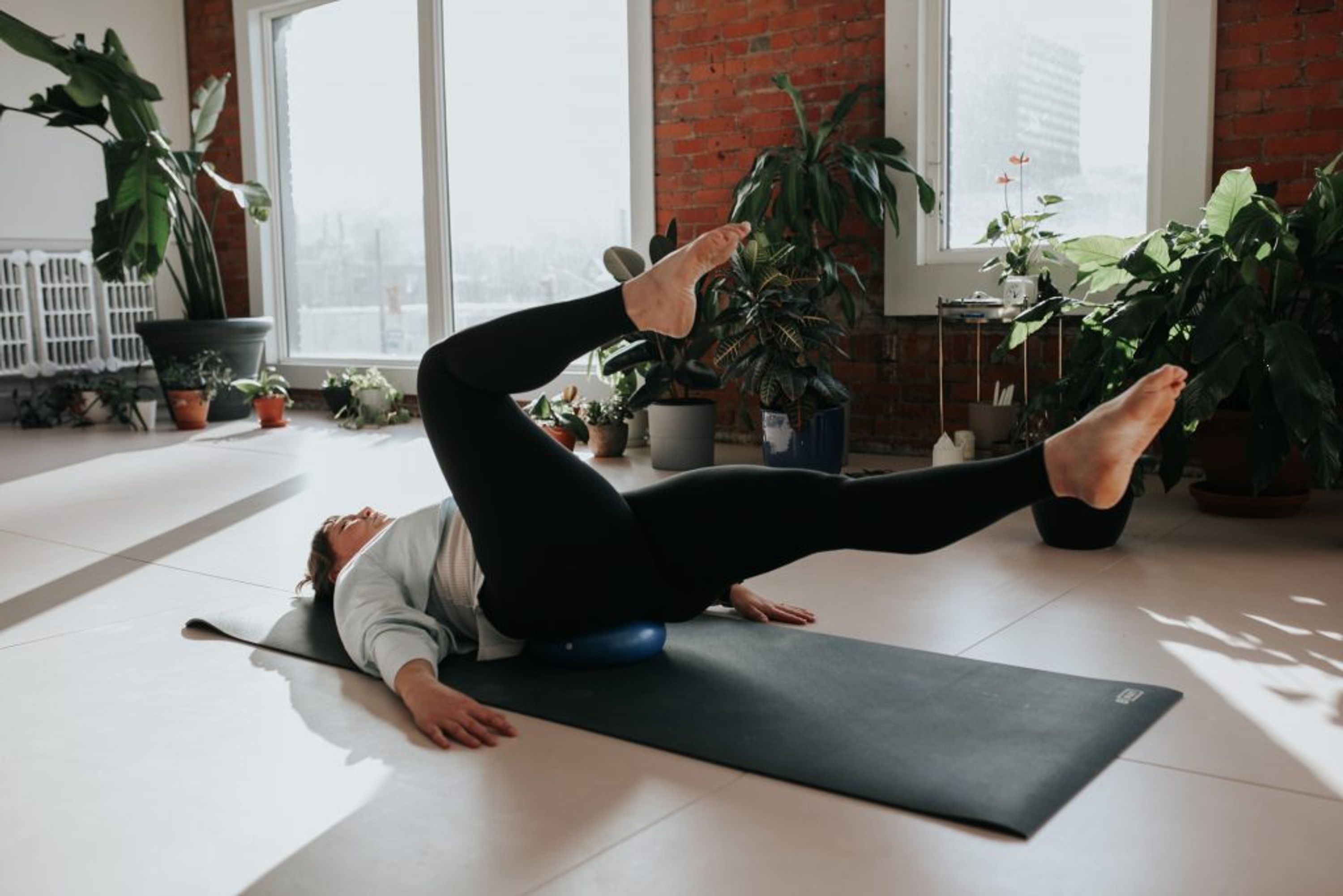 Support Alzheimer Society of Hamilton and Halton - Em Class Mat Pilates