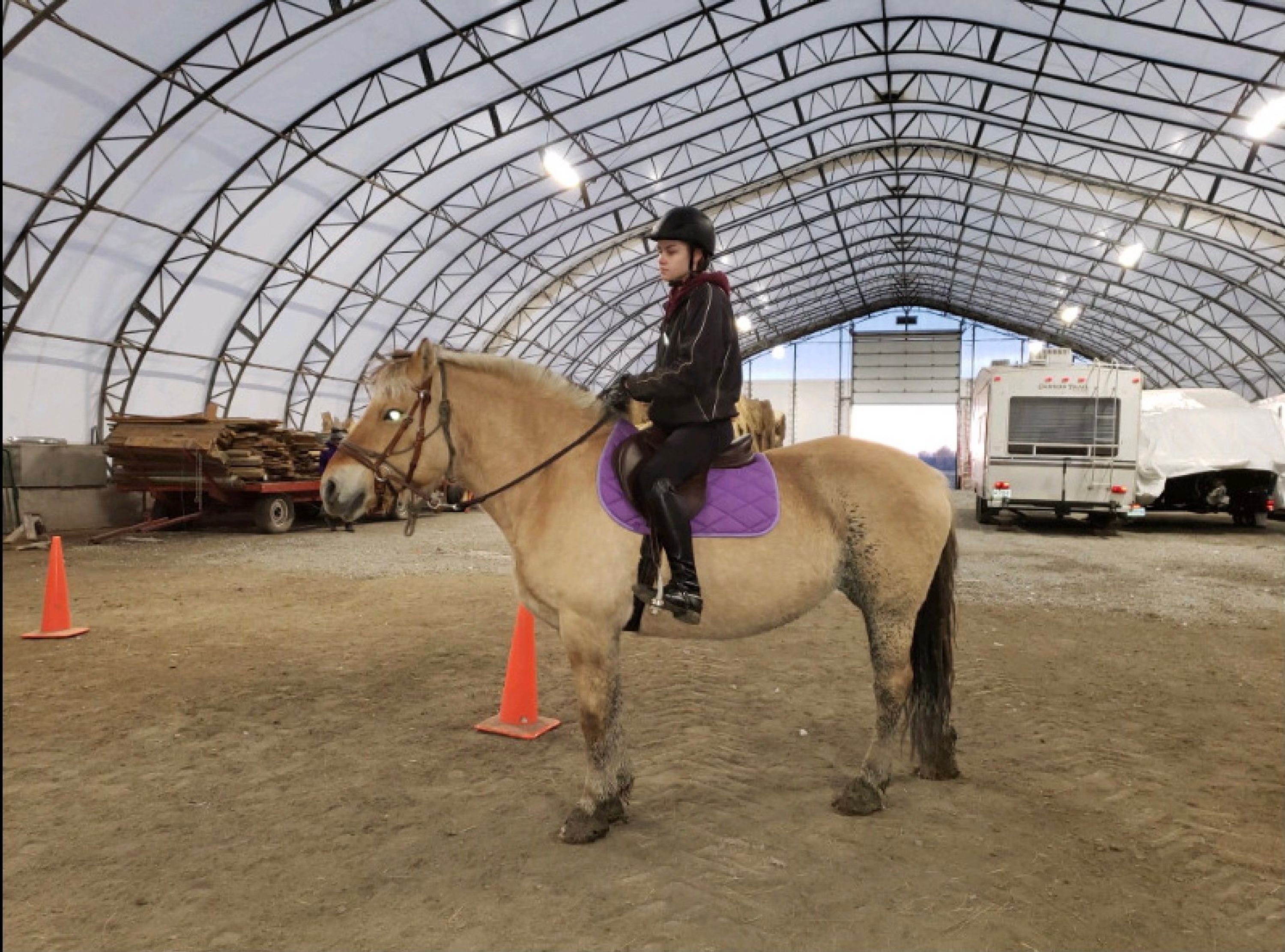 Camps de jours - Initiation à l'équitation