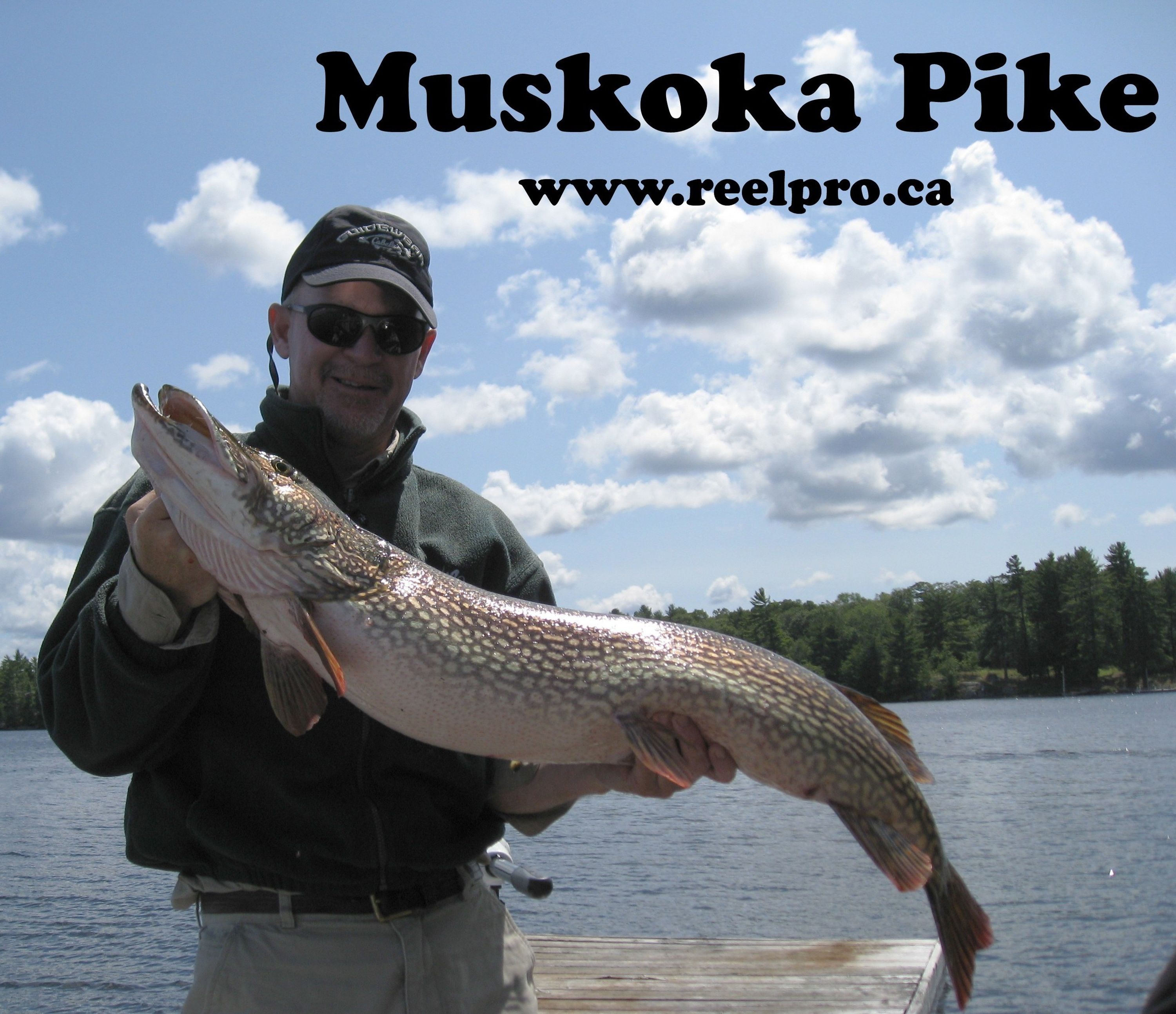 Reelpro Fishing Charters