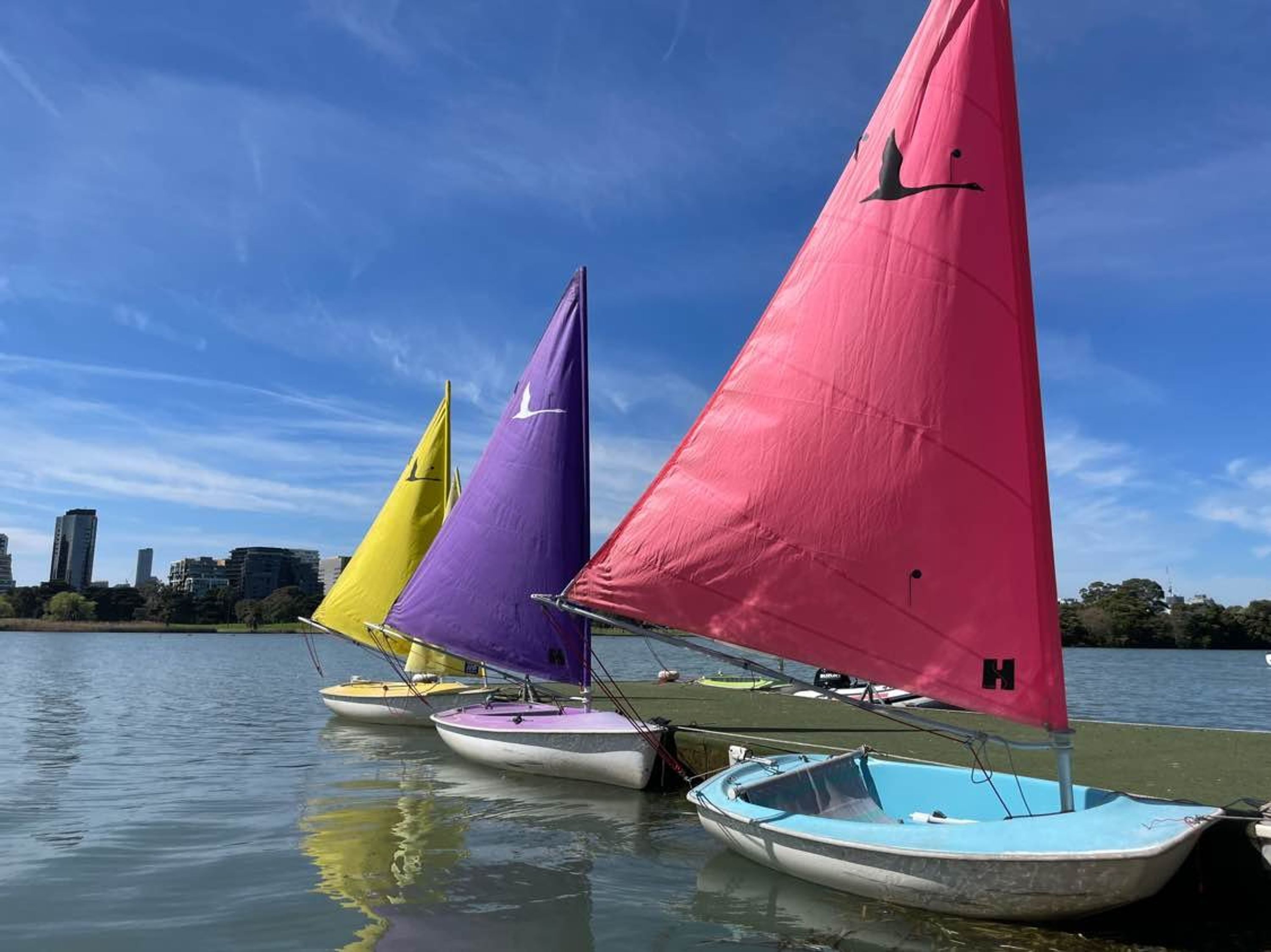 The Boatshed: Sail training and Experiences