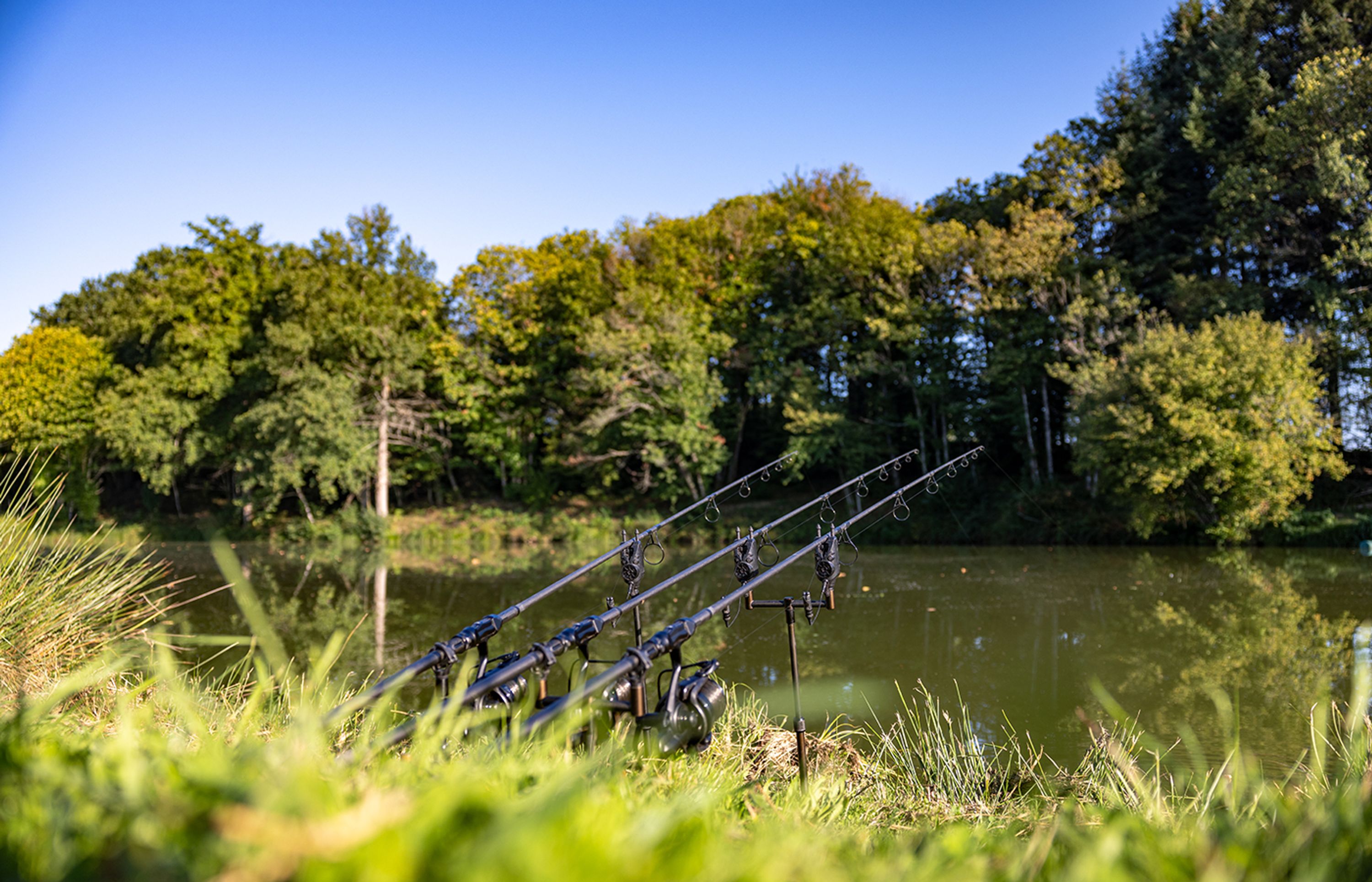 Molyneux Carp Fishery