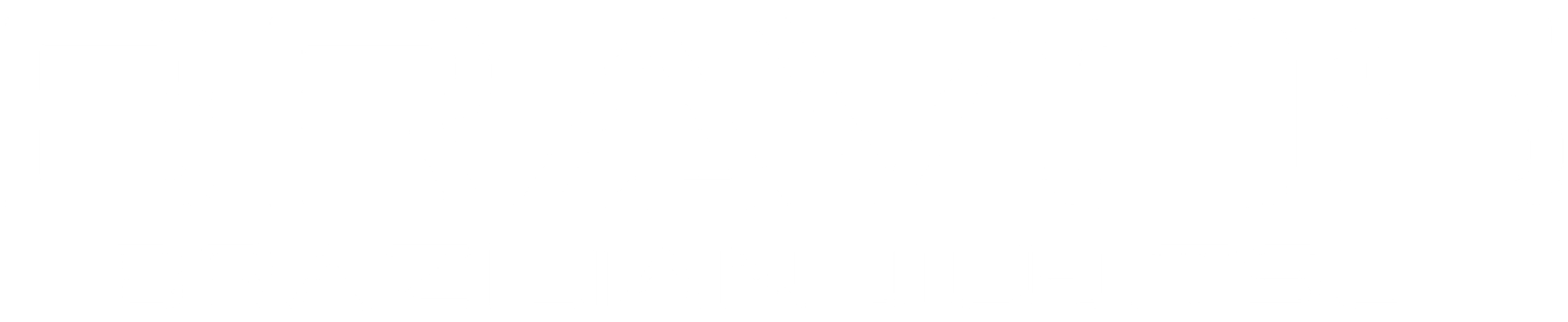 Bravos Brazilian Jiu-Jitsu