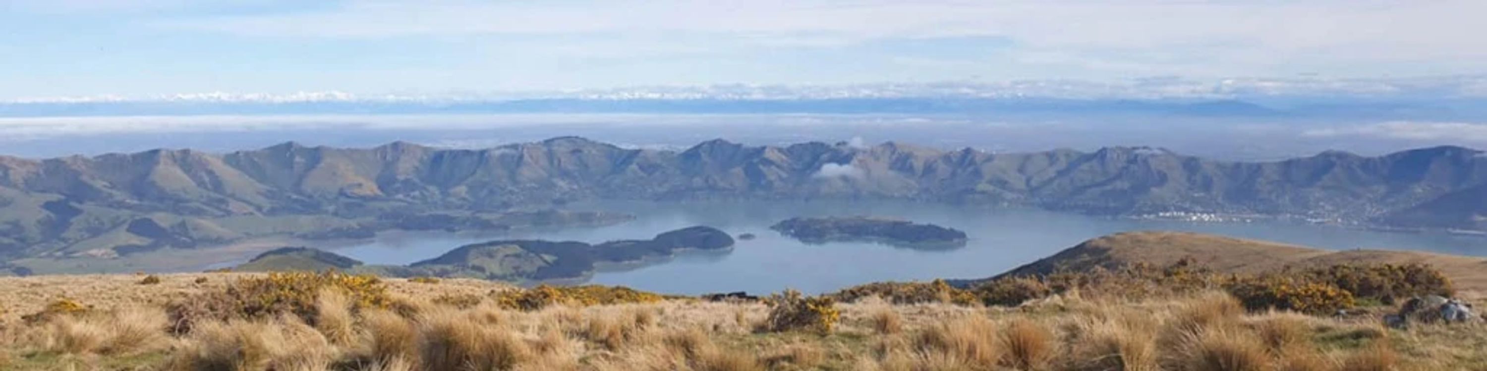 Christchurch Marathon Clinic