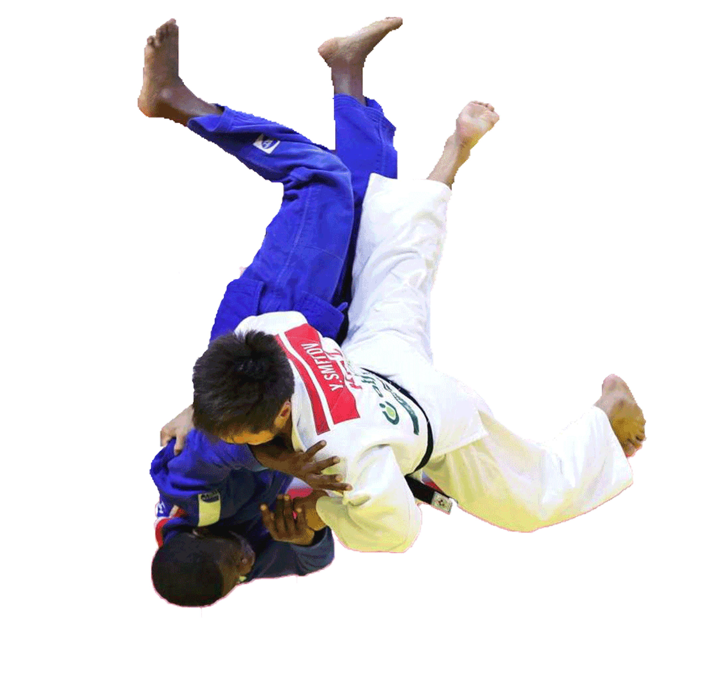 Hayabusakan Judo Club