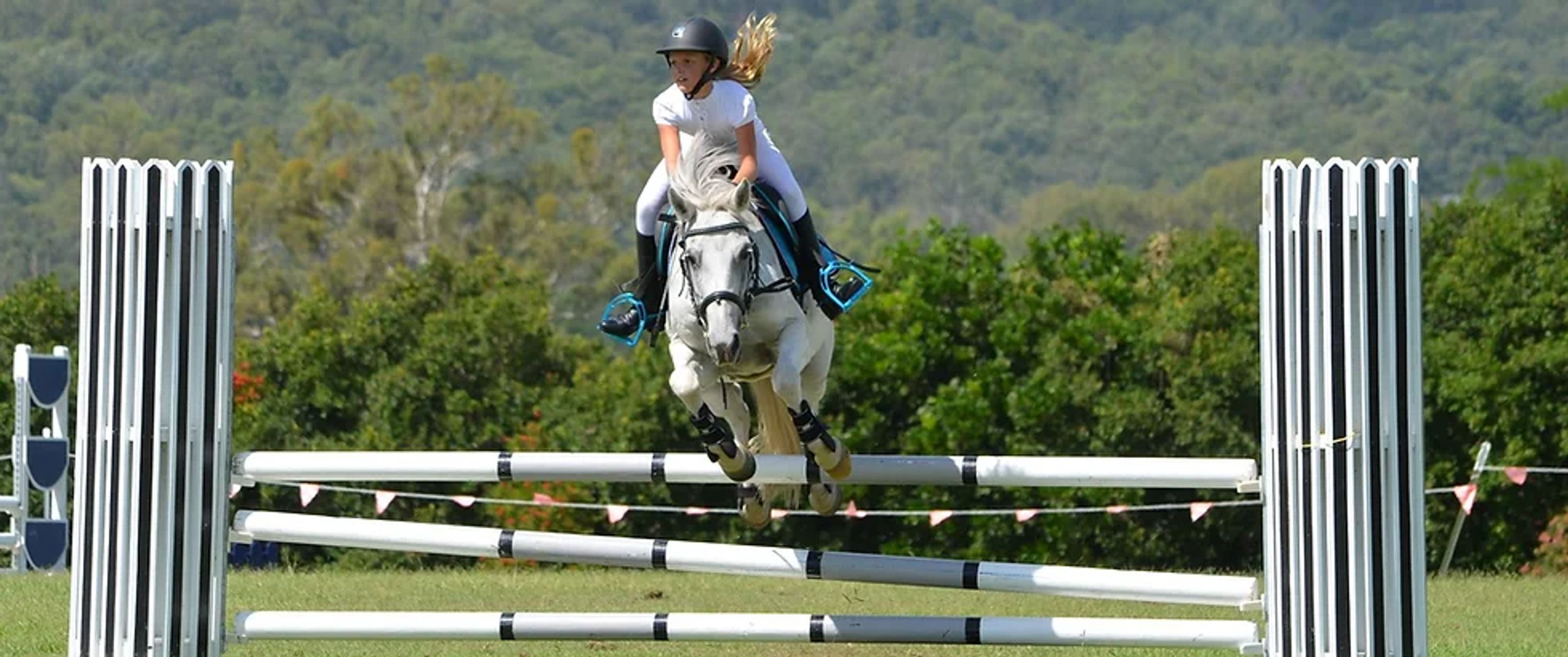 Ethereal Equestrian