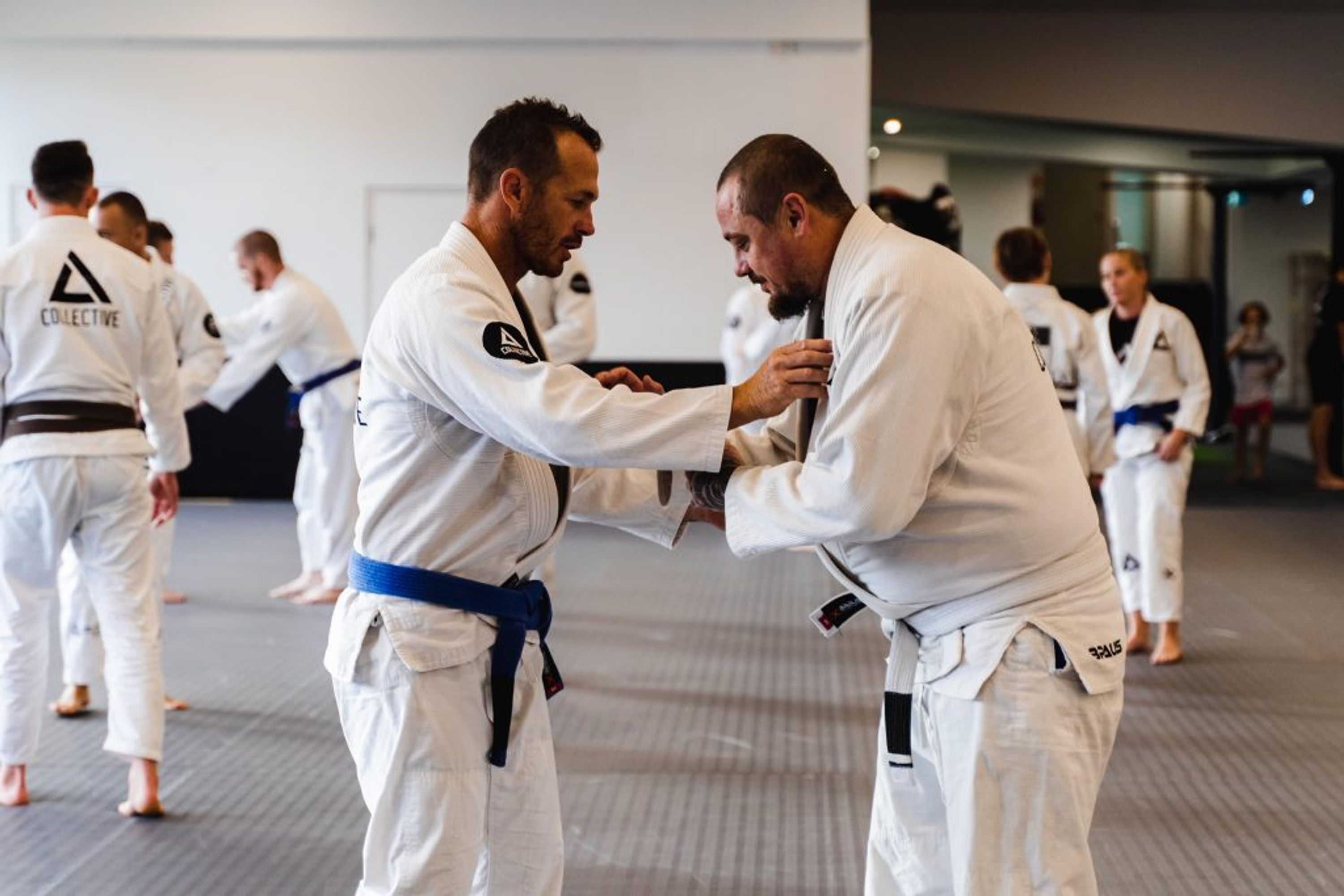 Collective Martial Arts