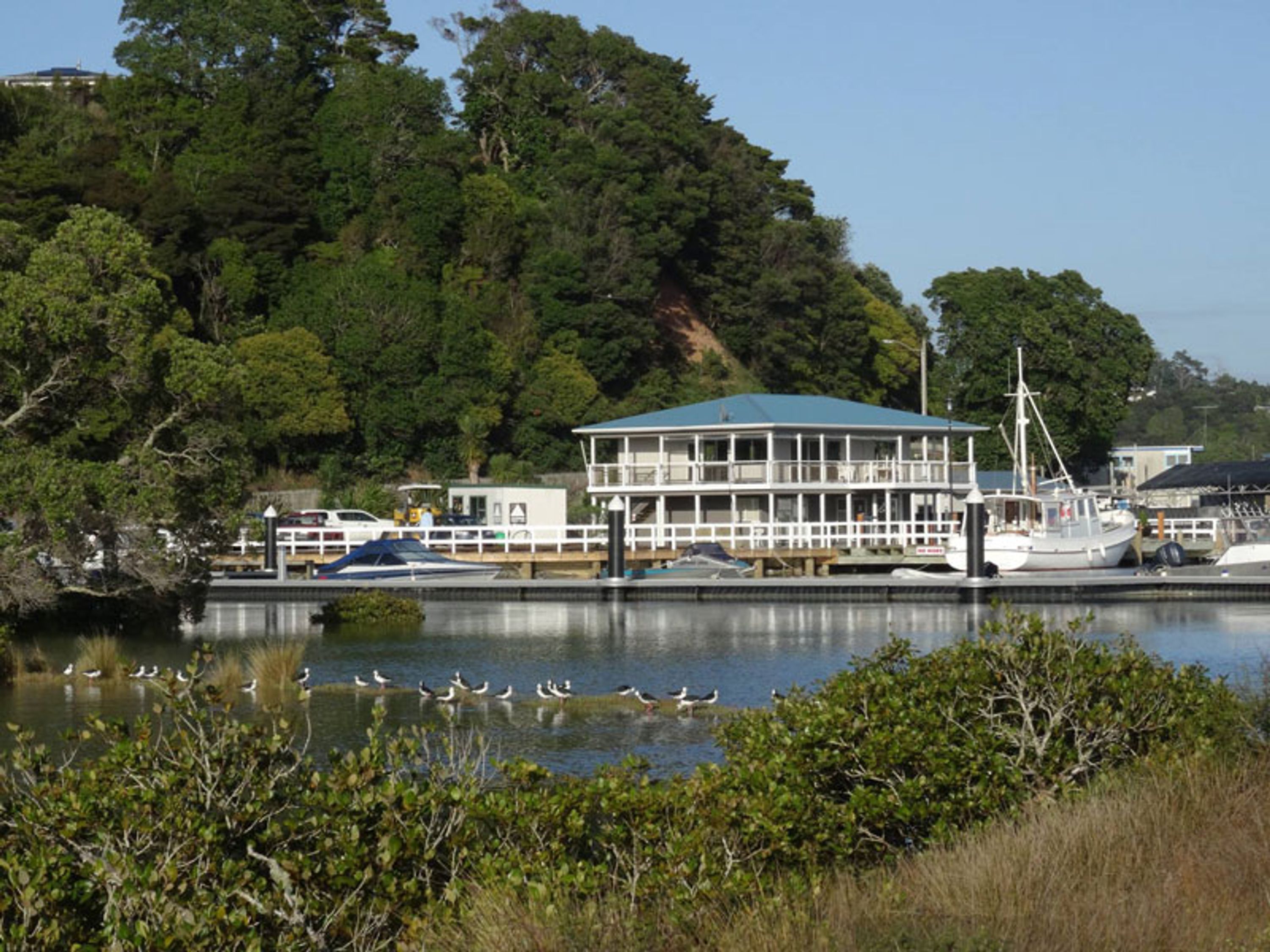 Game Fishing Warkworth Gamefish Club Inc