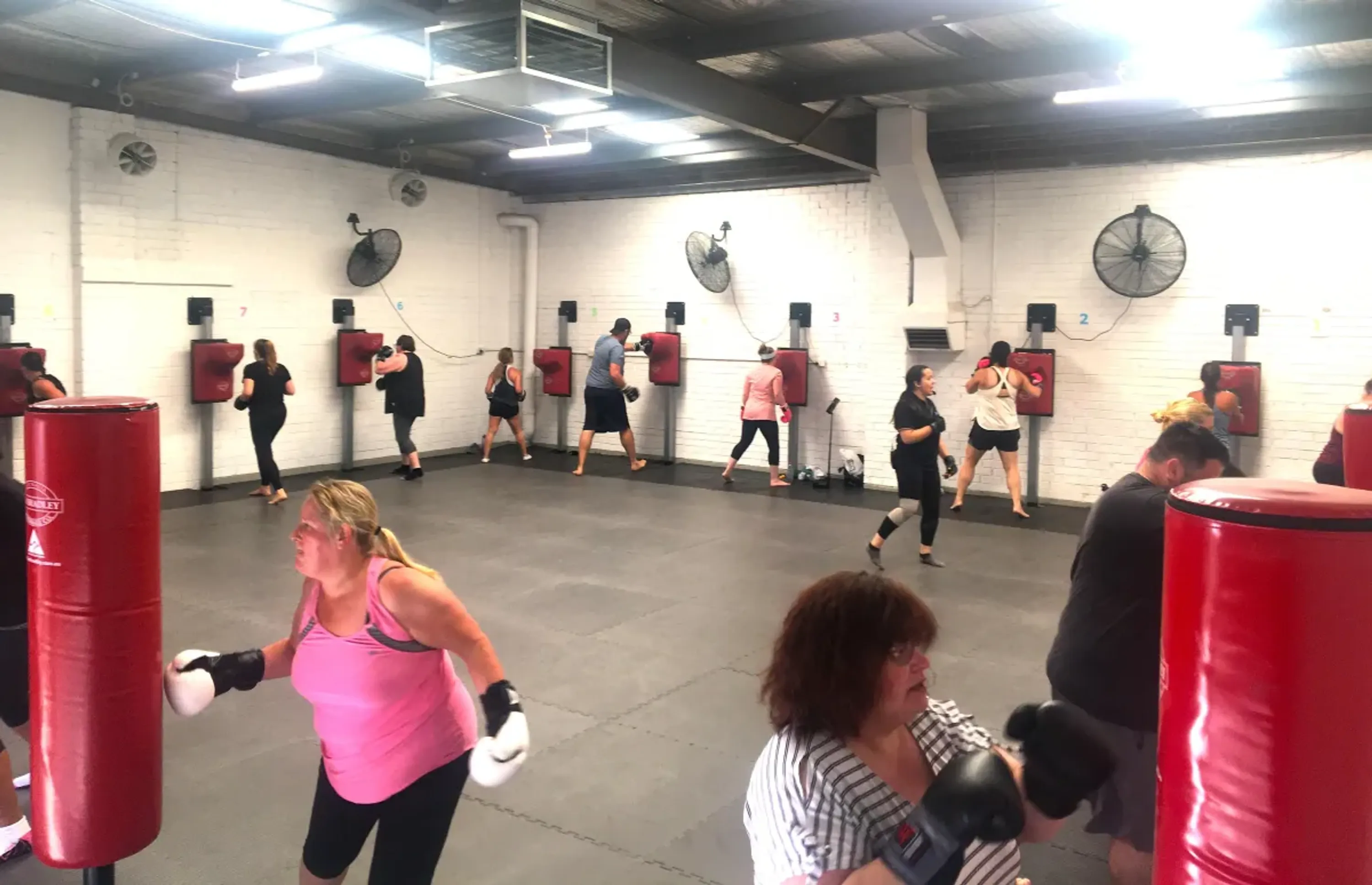 MC Fitness