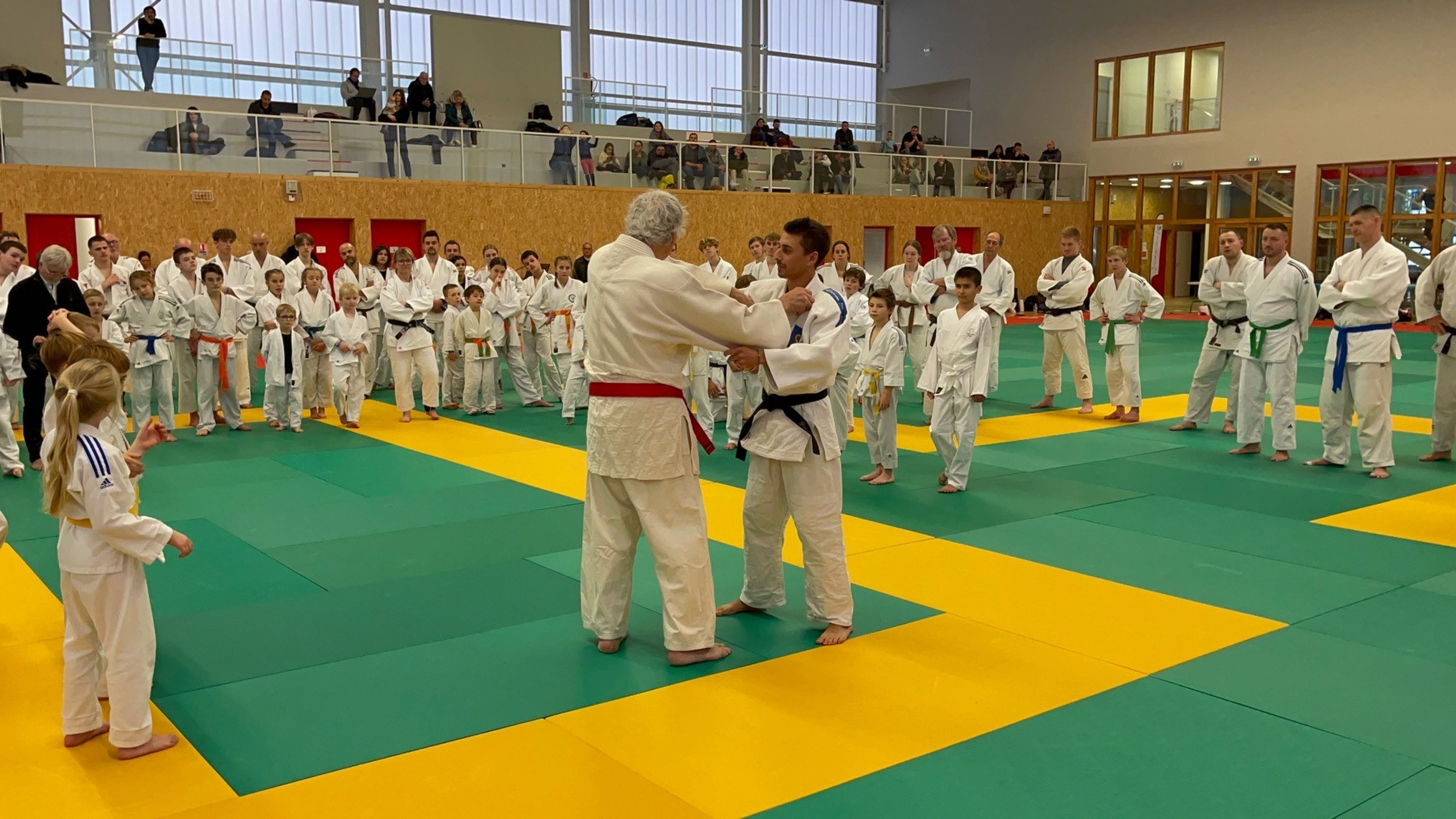 Judo club nieppois lille