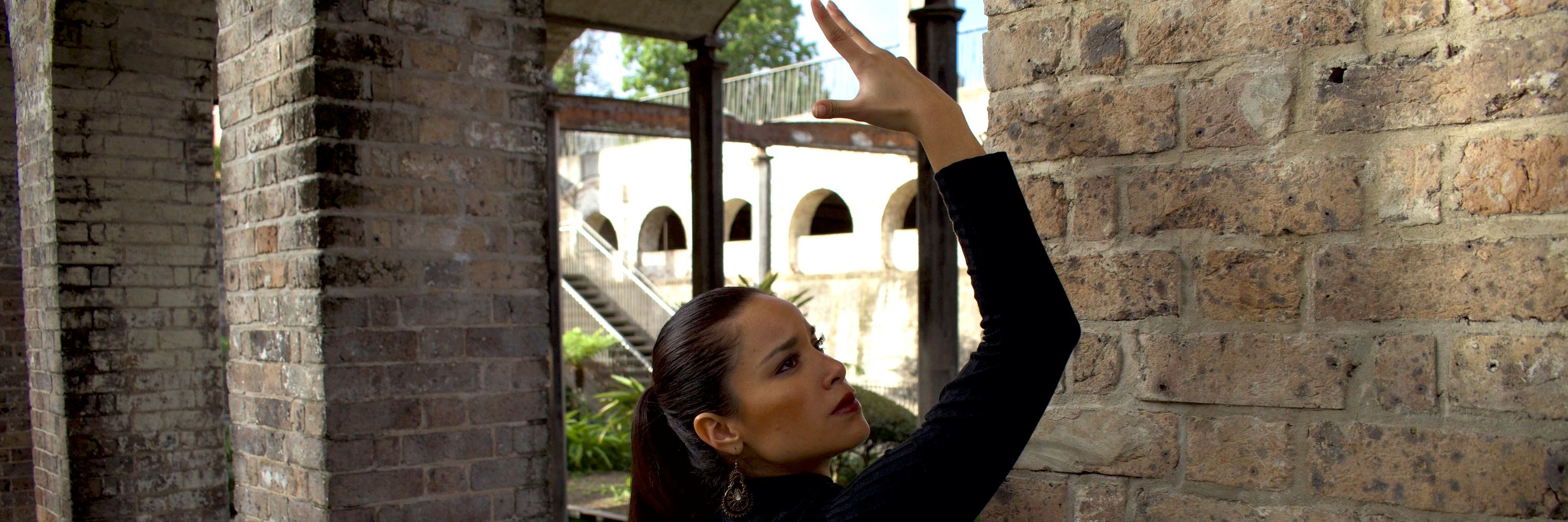 Flamenco Fusion - MESTIZA