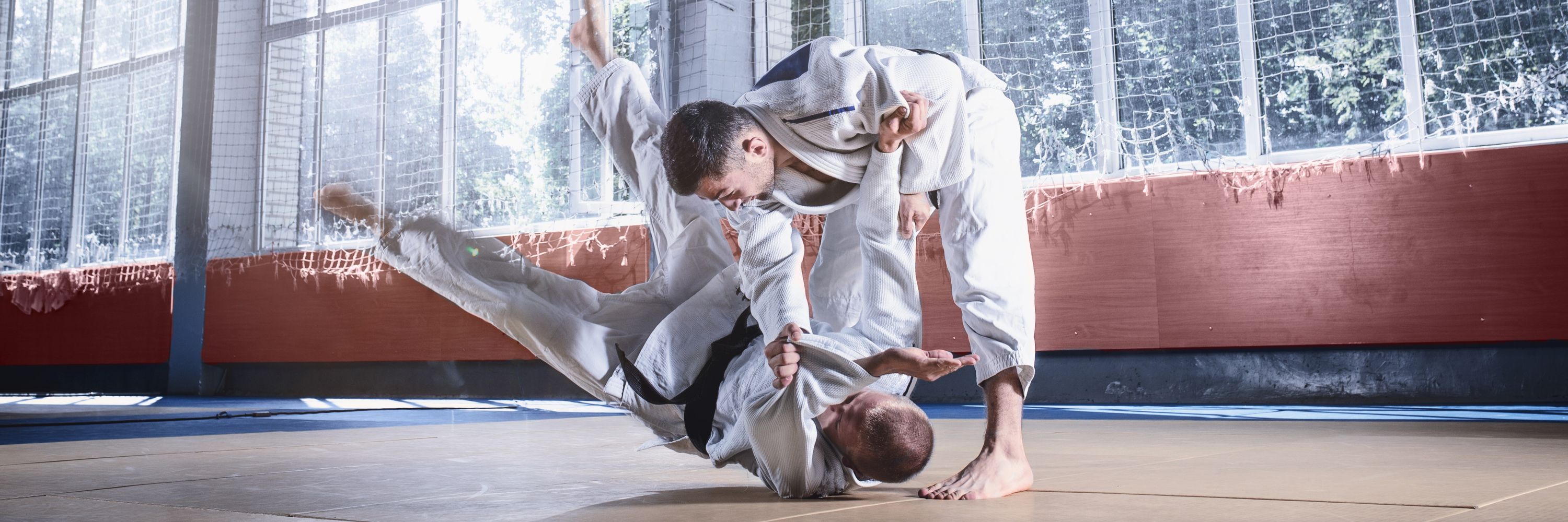 Senior Judo Training