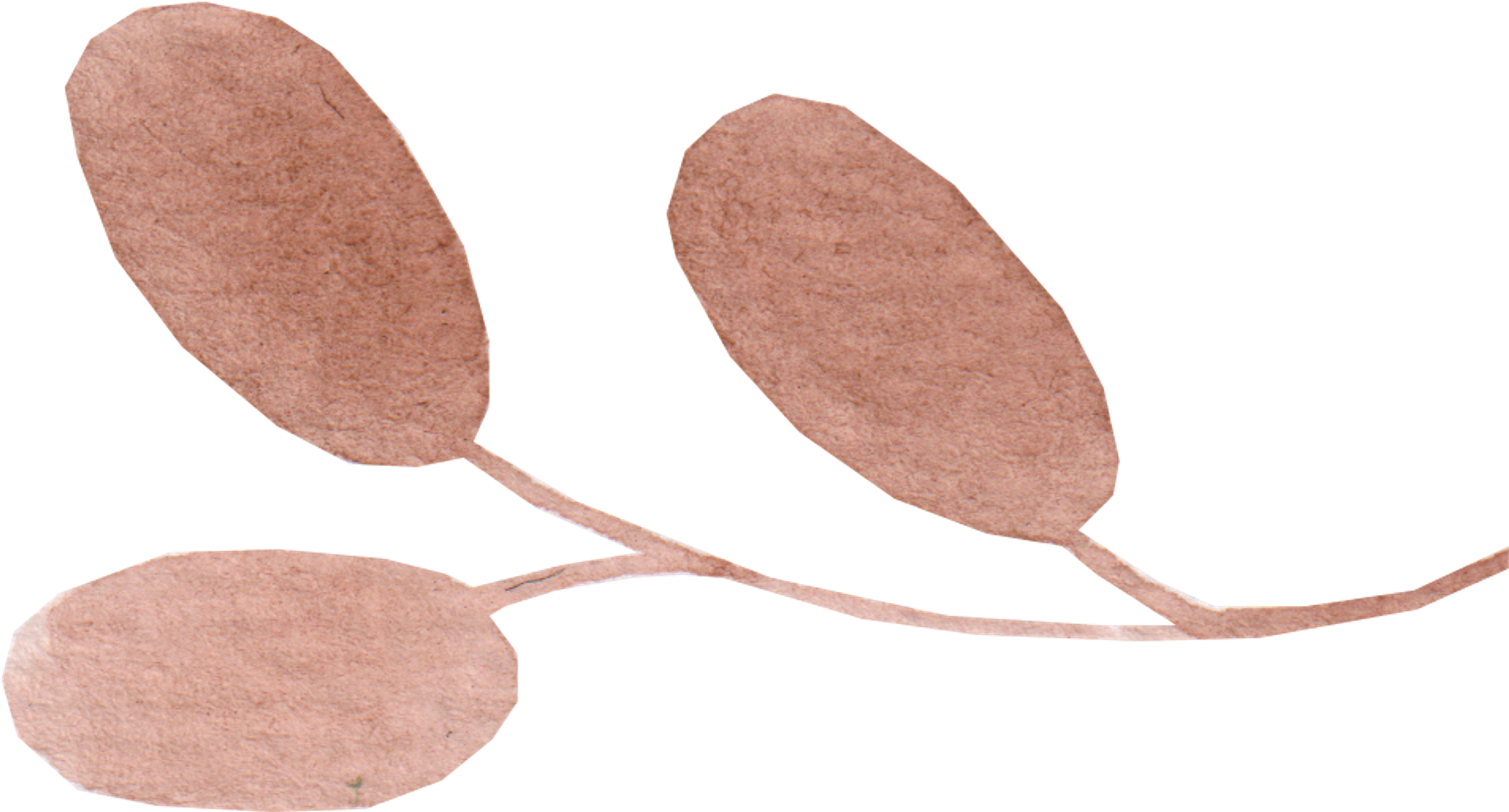 Naturopath Reflexologist - Mathilde Lagesse