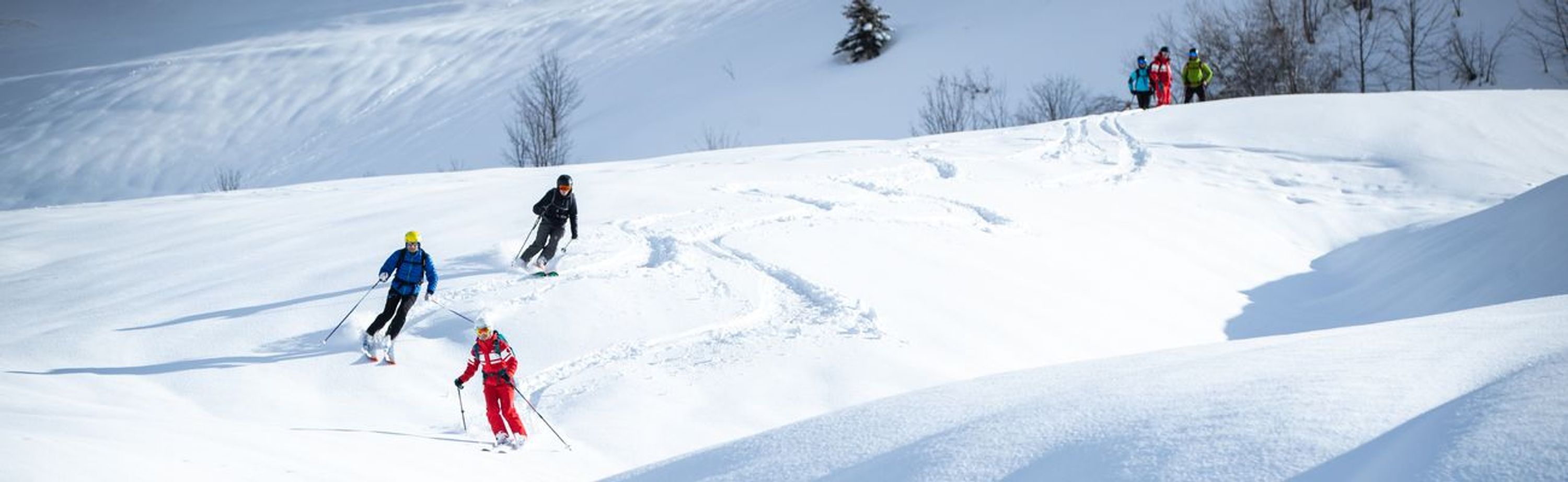 Cours privés de Ski Nordique Classique ou Skating