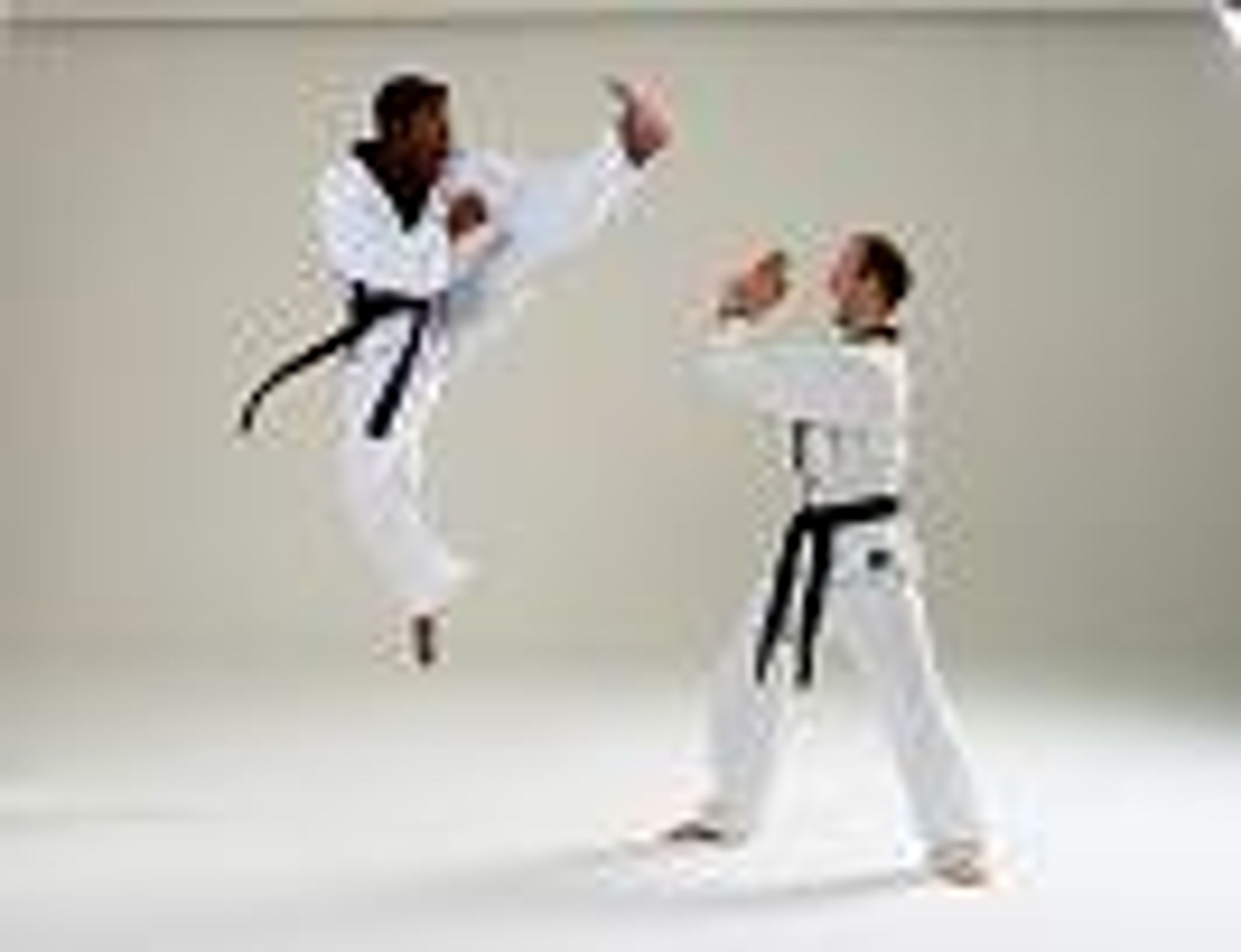 HED TKD Tae Kwon-do Fleet