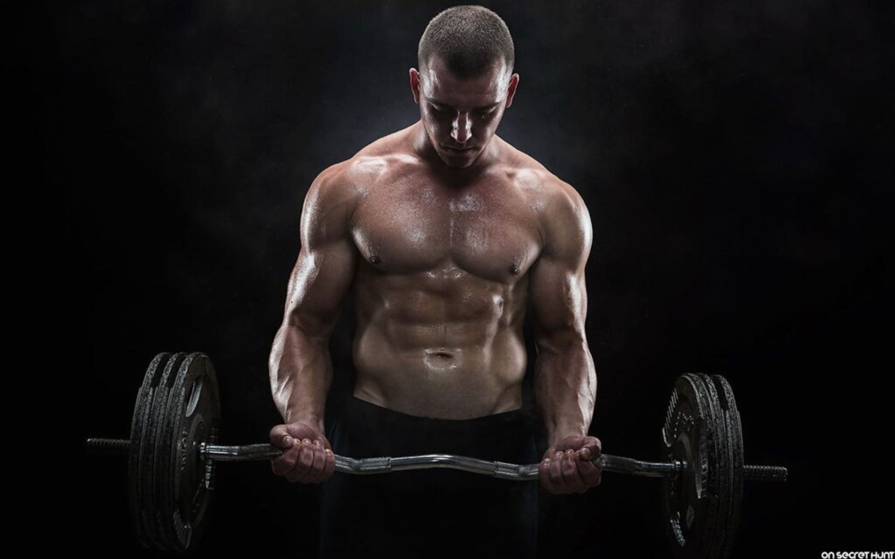1 on 1 Personal Training & BODY TRANSFORMATION