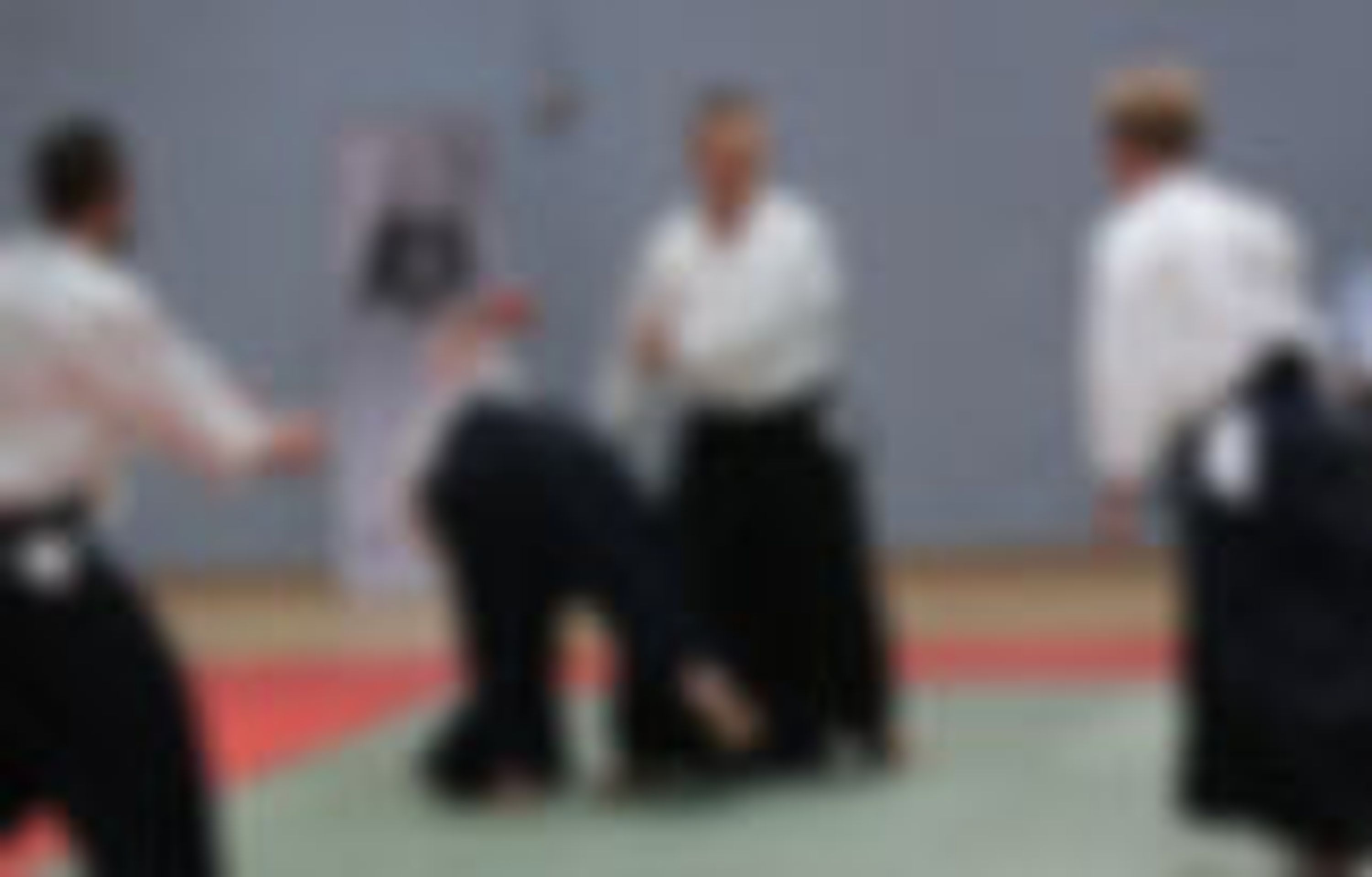 Aikido Montgeron M.a.m.