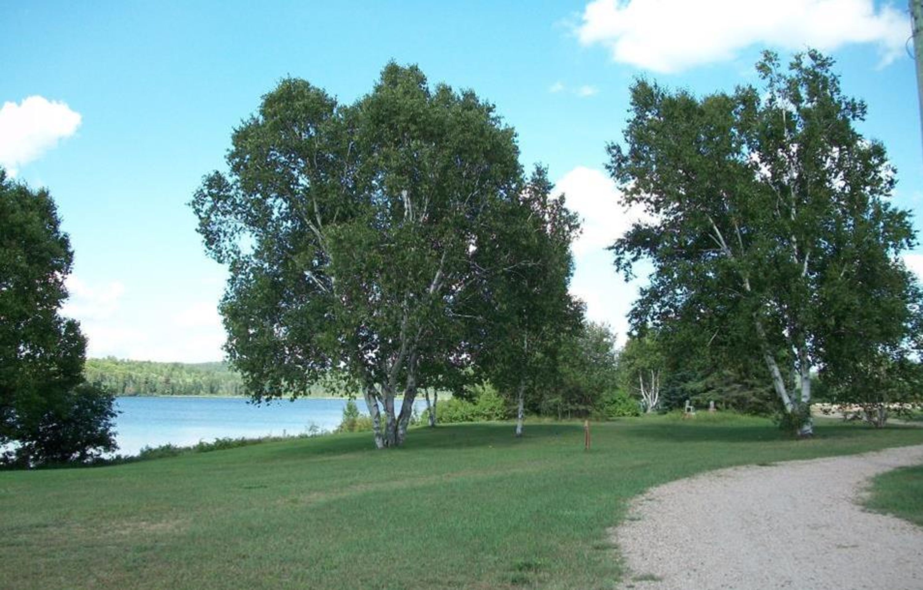 Tom Thomson Park