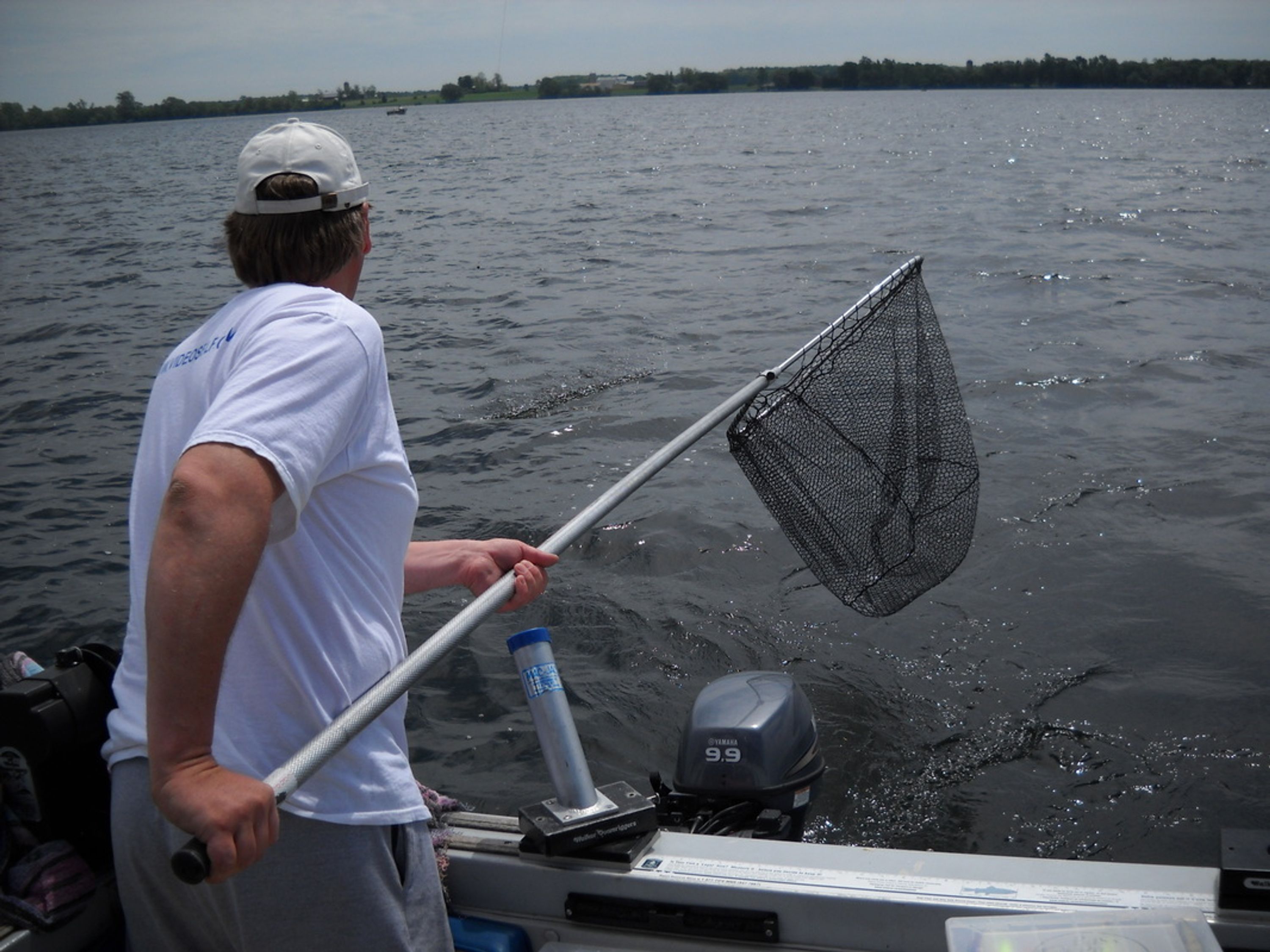 Silver and Gold Sport Fishing
