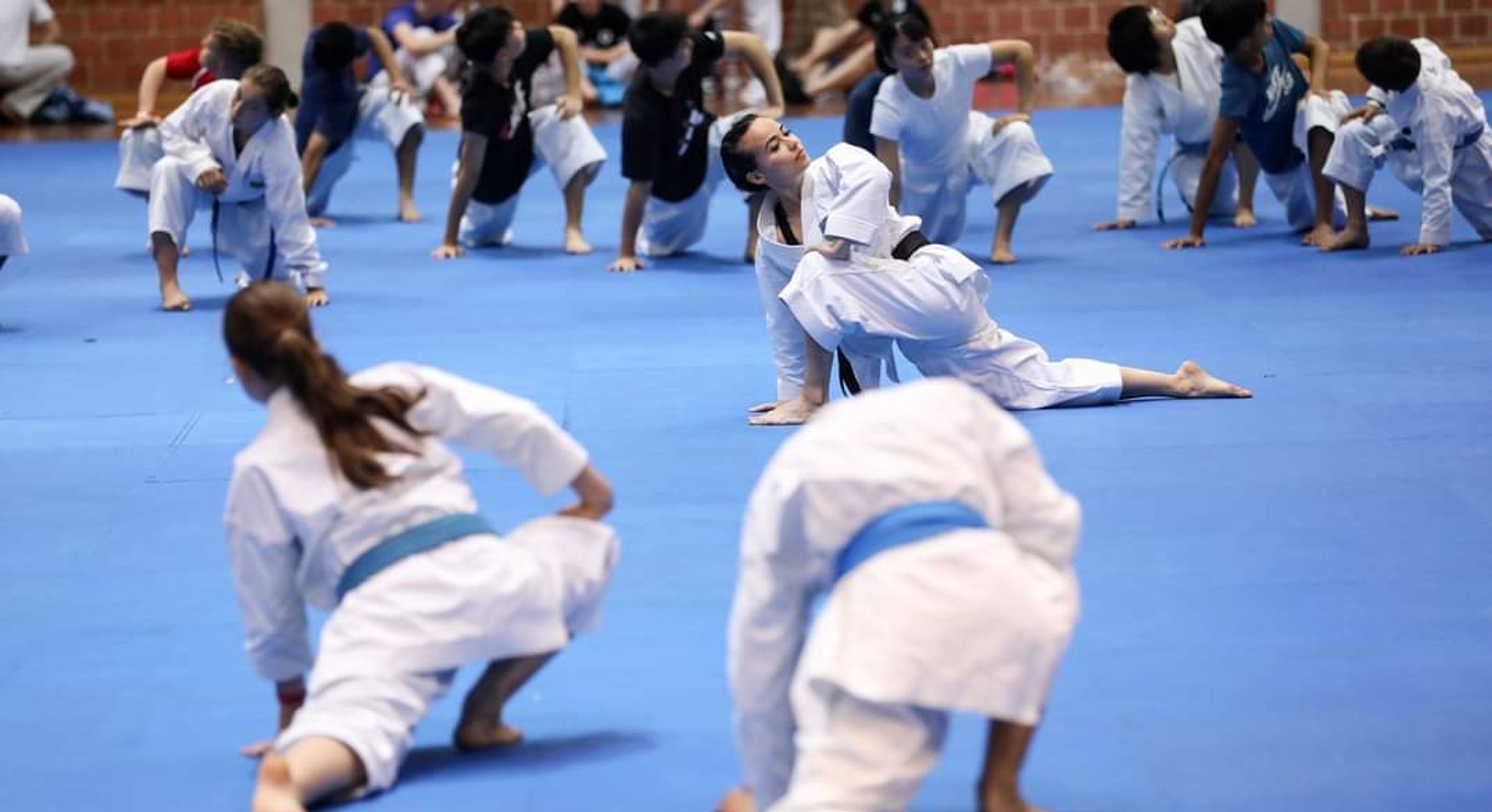 Simna Martial Arts Organization