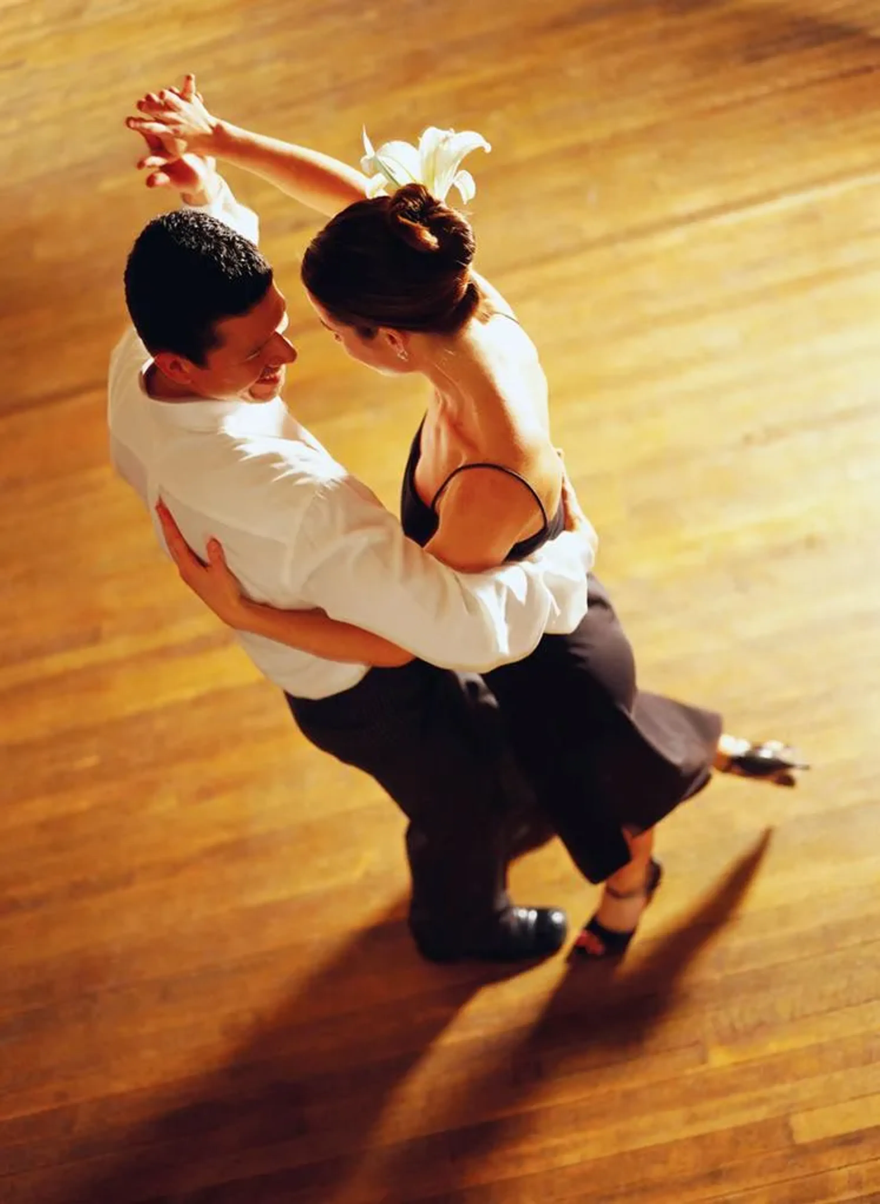Chevalier School of Dance