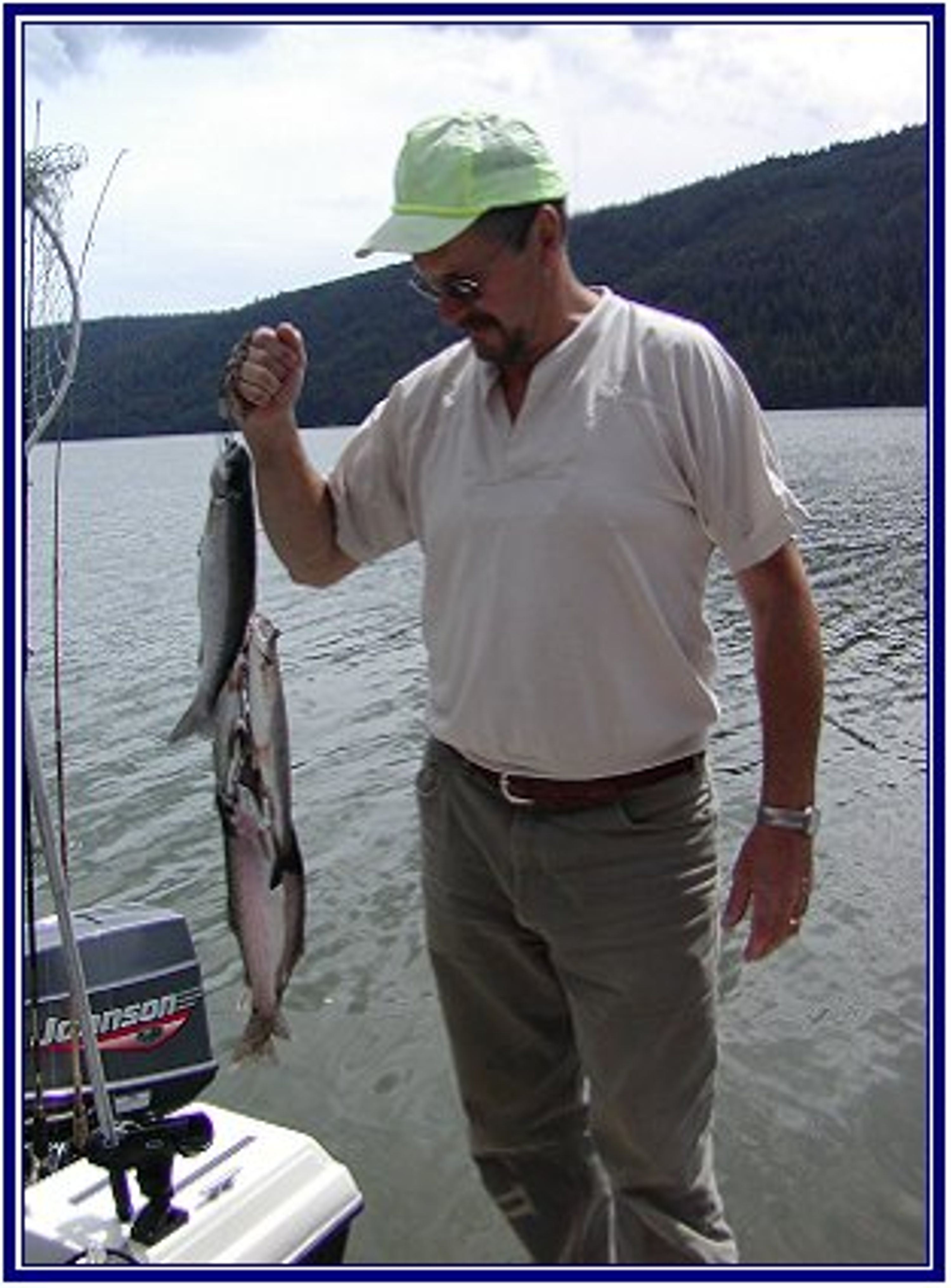 White Moose Resort