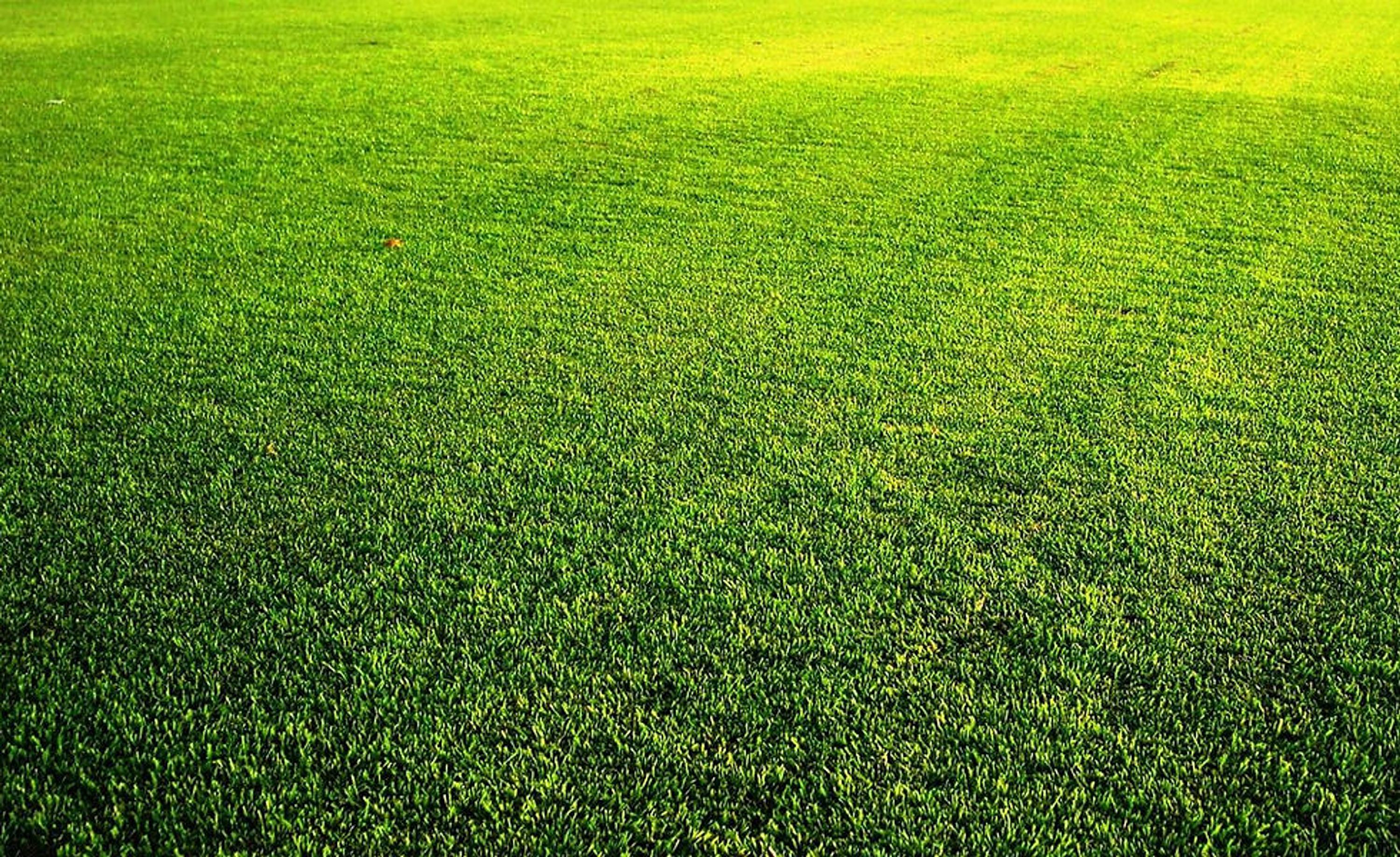 Hammond Park Football Club