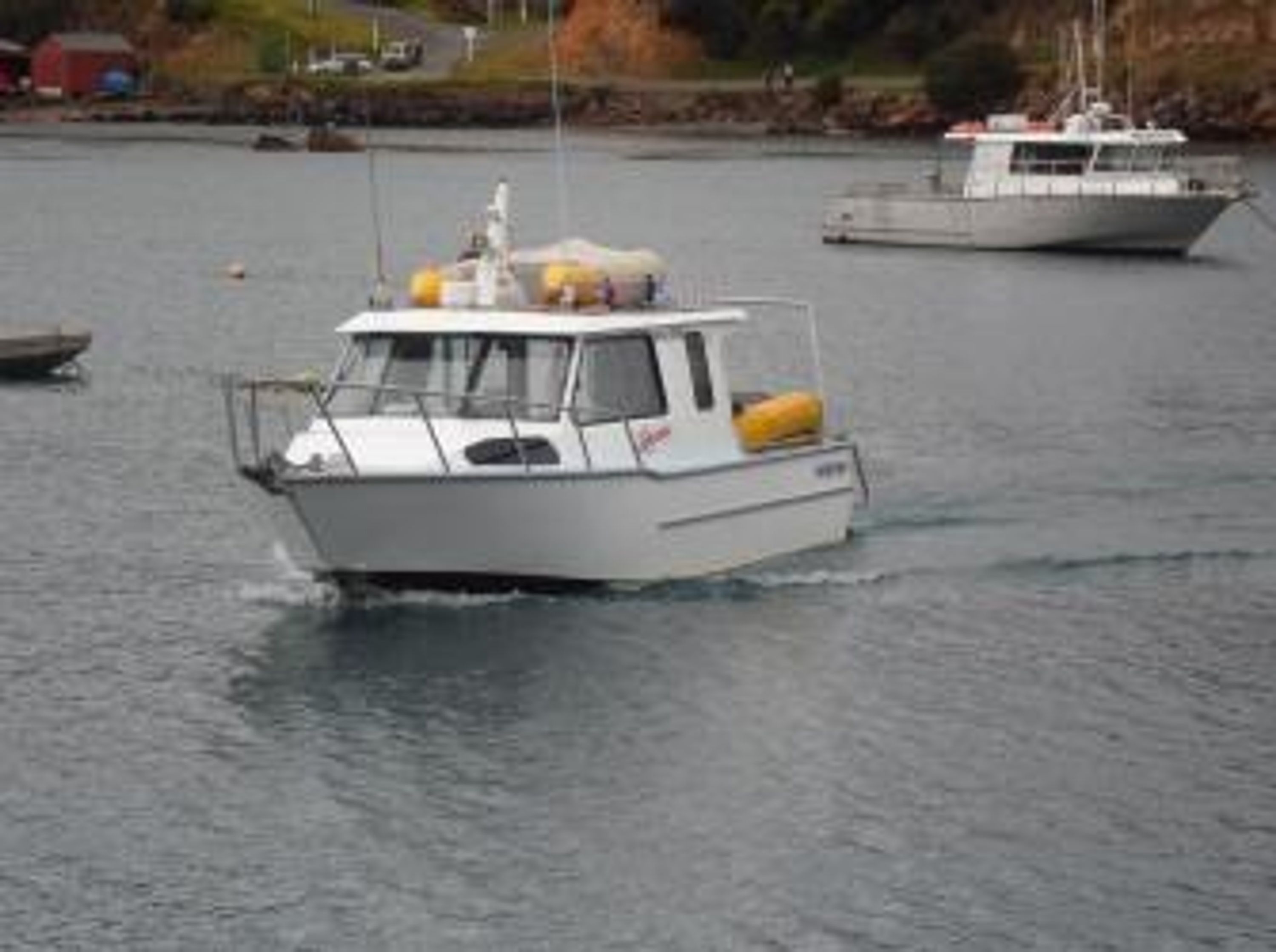 Loredo Charters