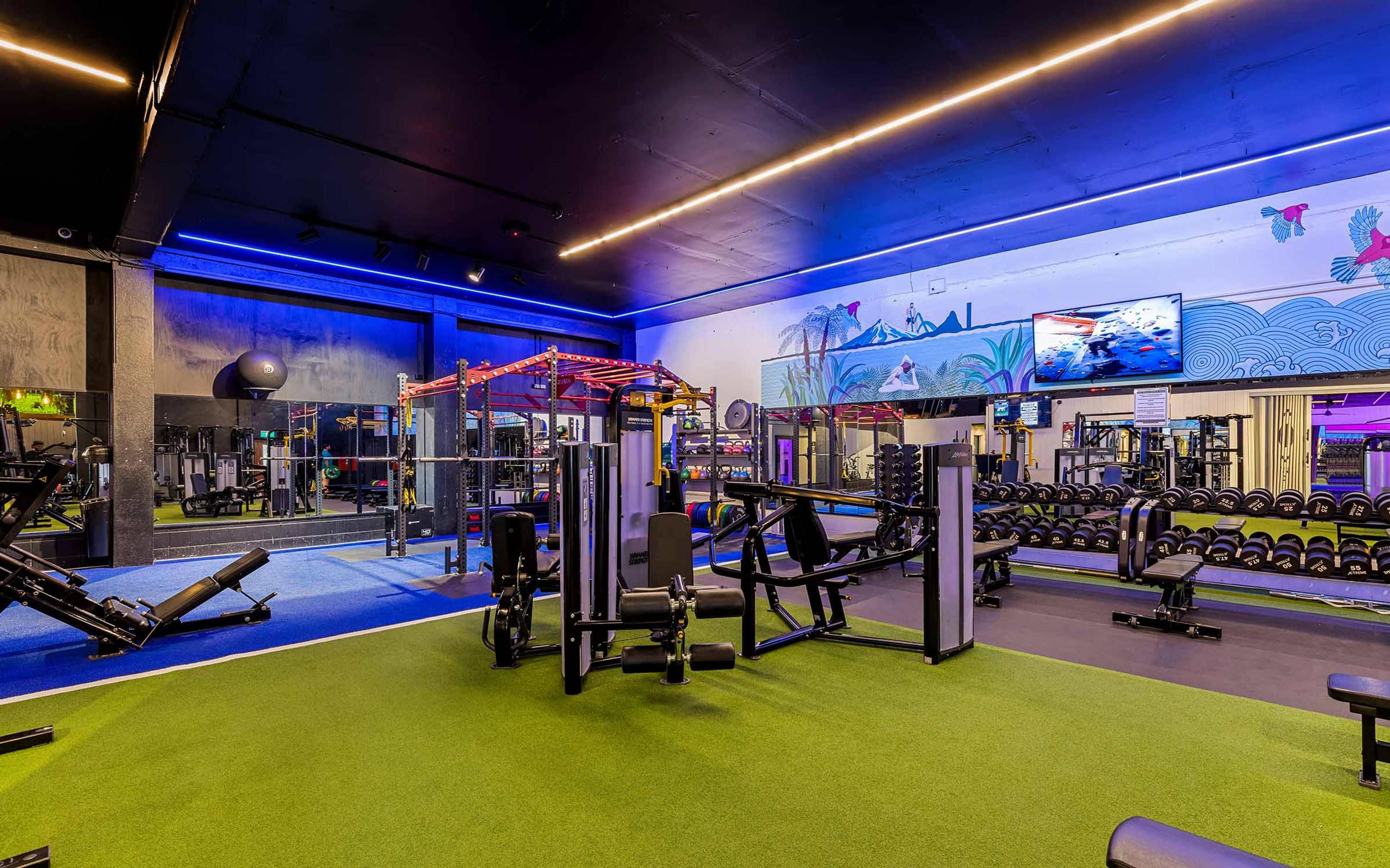 Flex Fitness New Plymouth