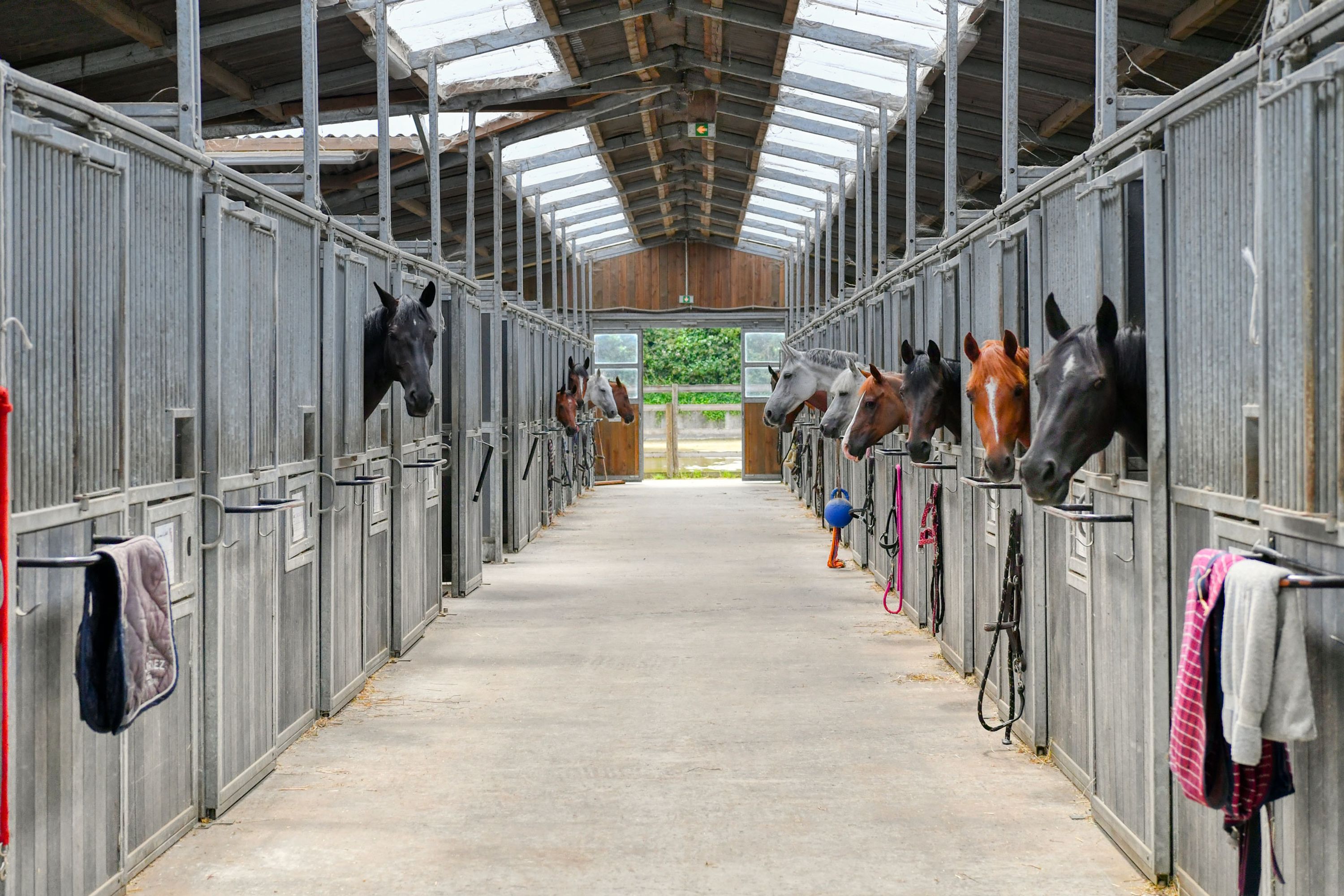 Equestrian Club Du Forest