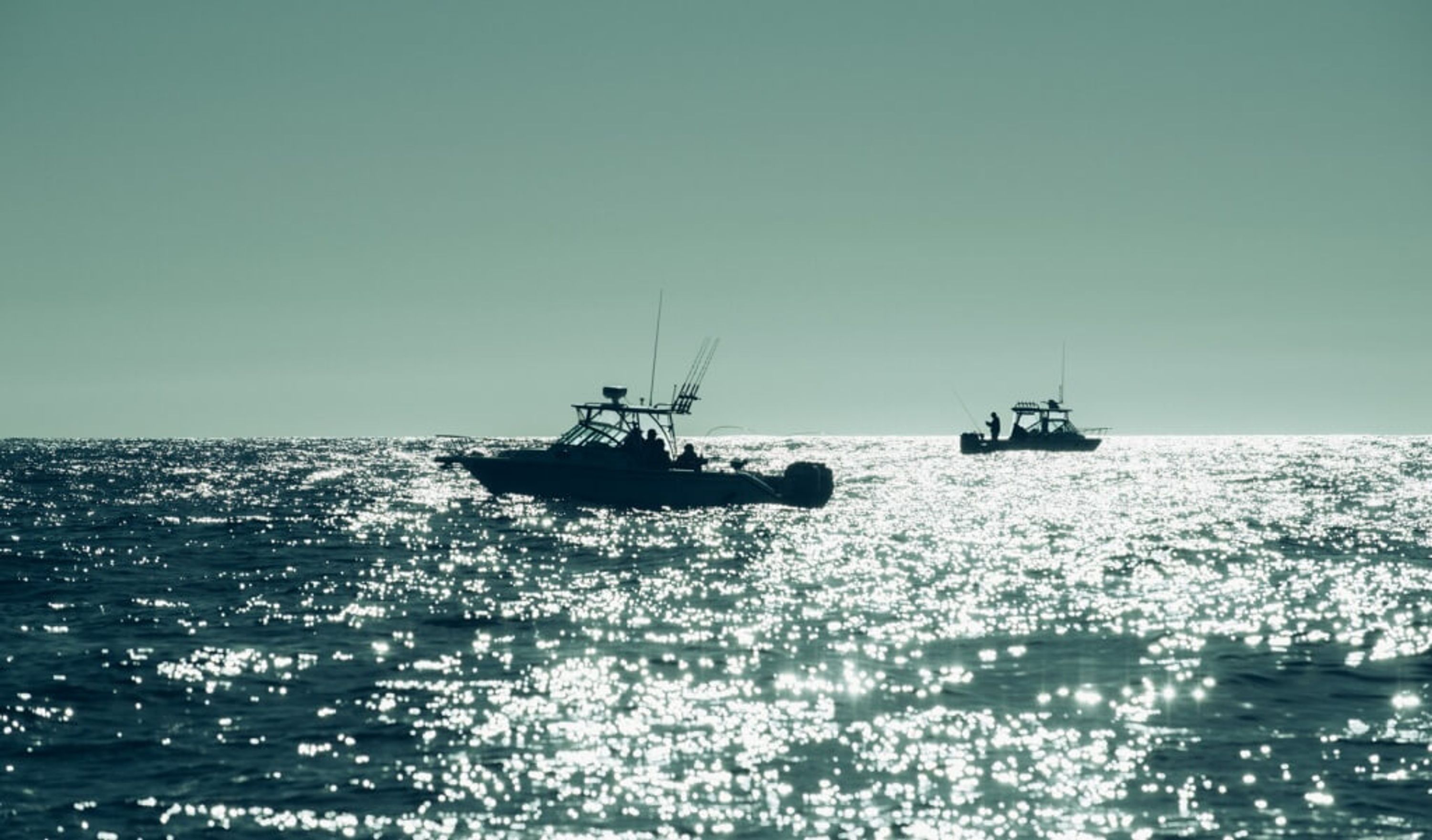 WardoWest Tofino Sportfishing