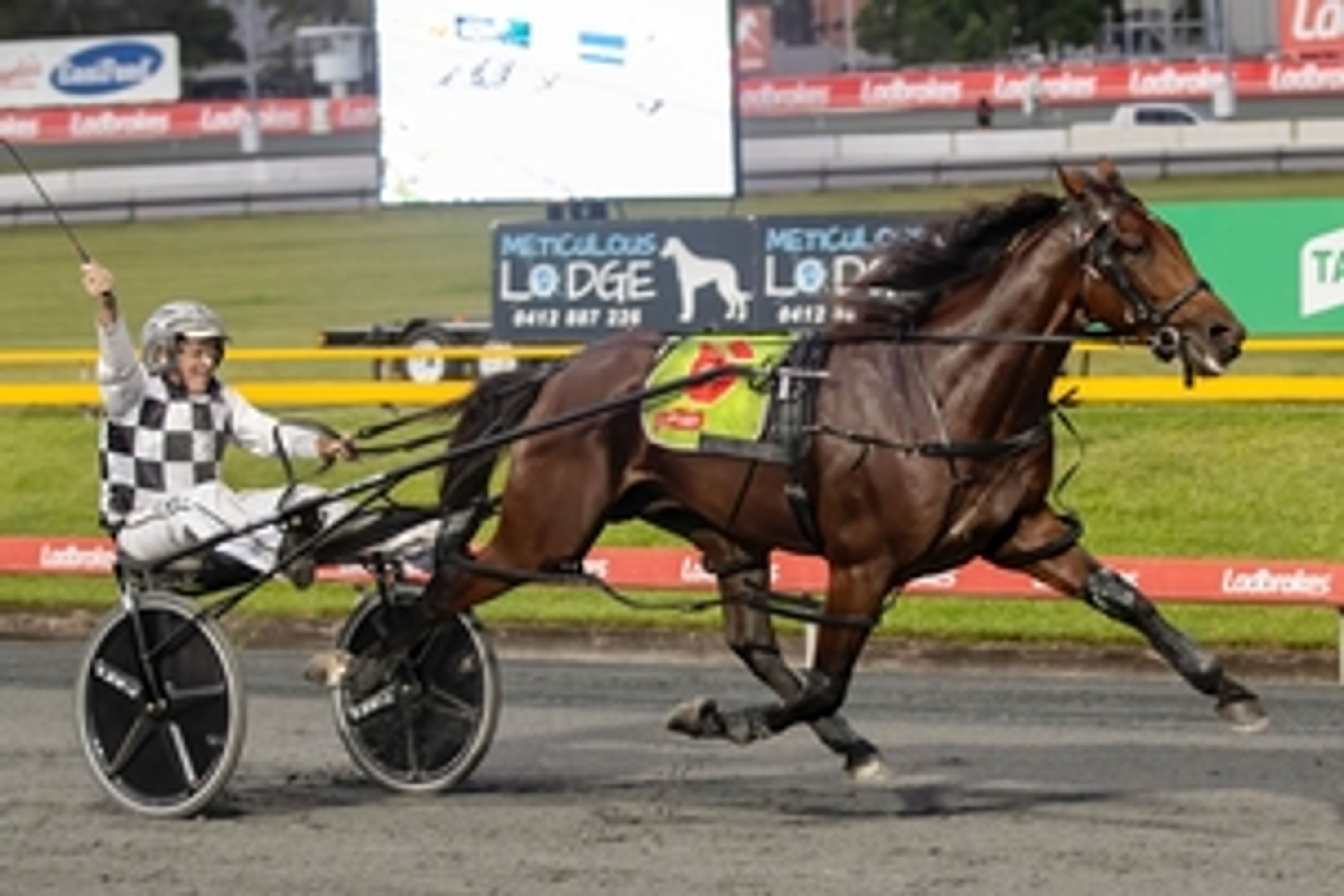 Sebastian Harness Racing Club