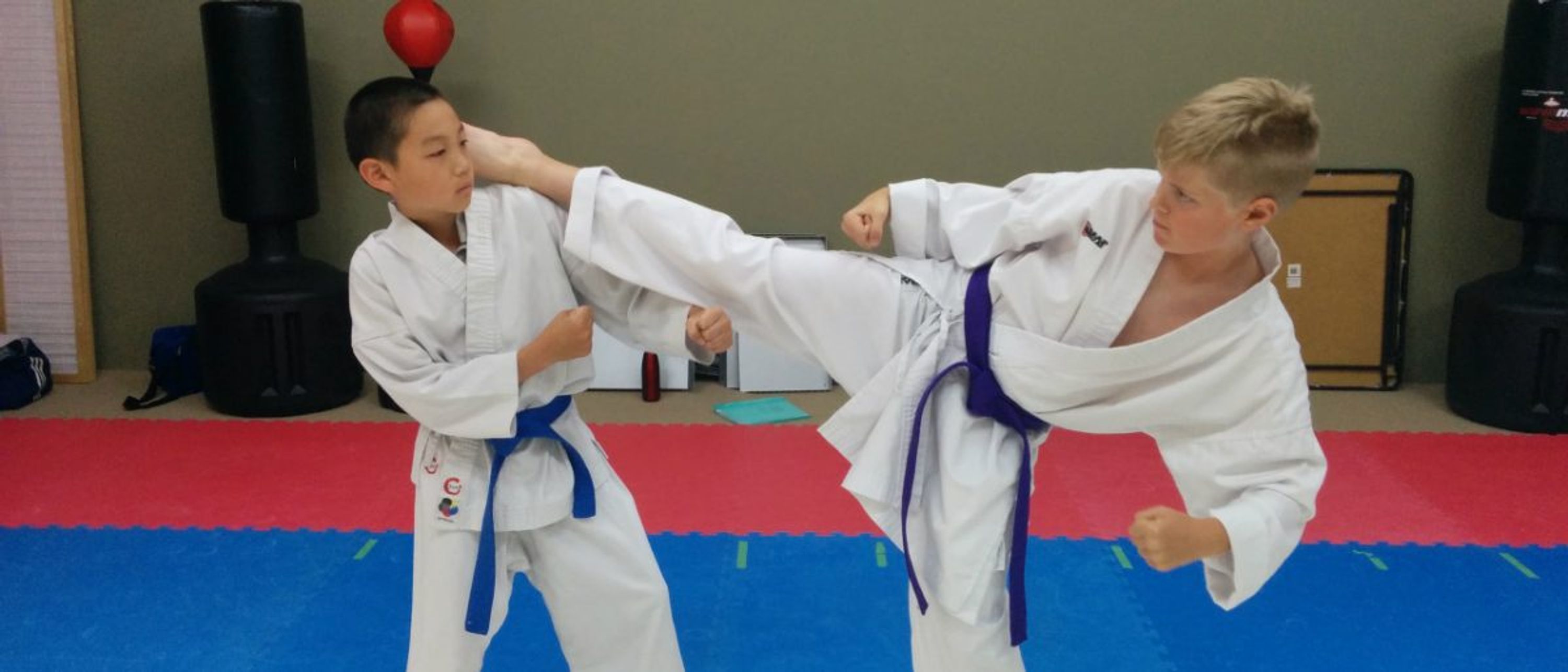 Jushinkan Martial Art