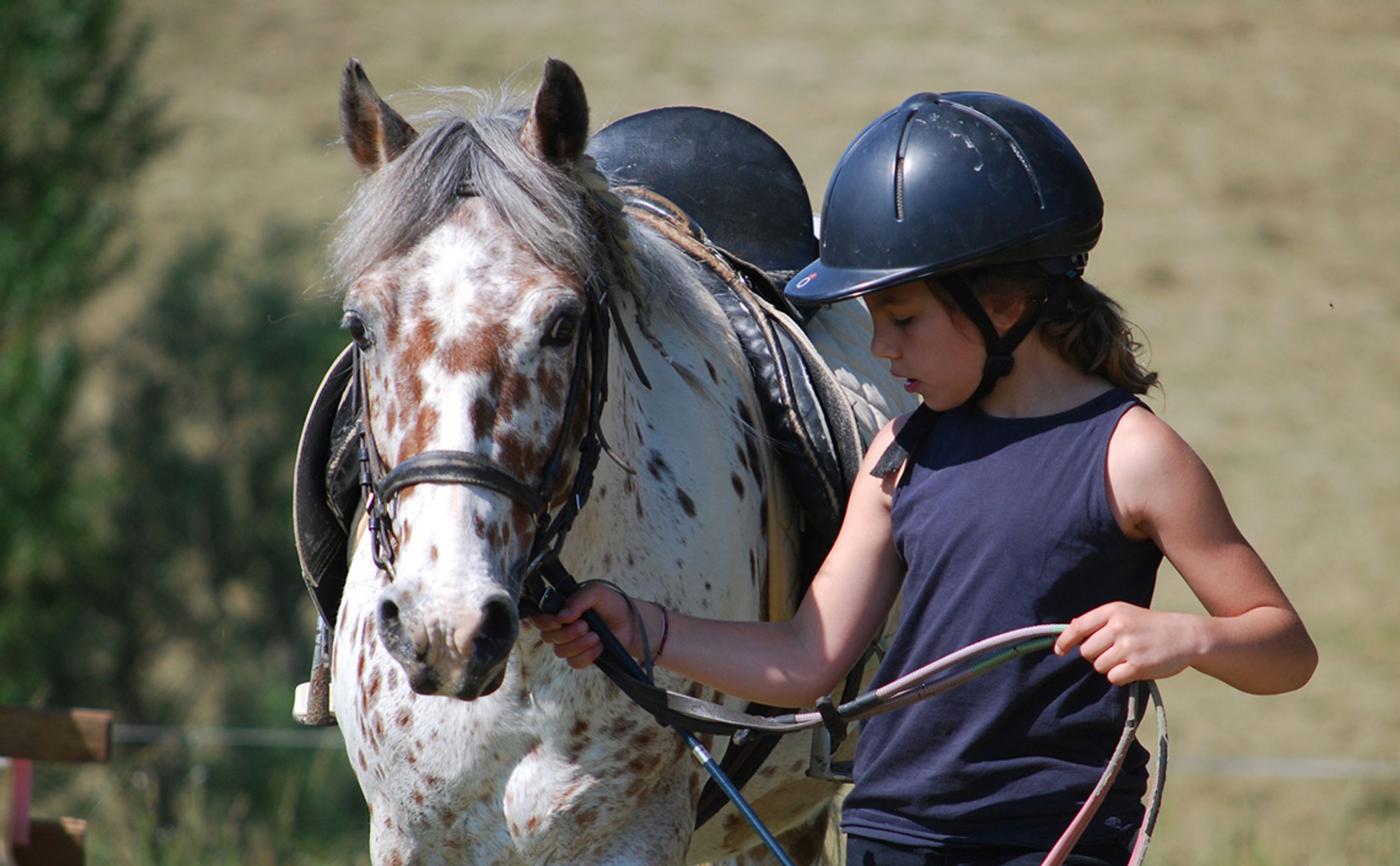 La Chevauchée - Equestrian Center