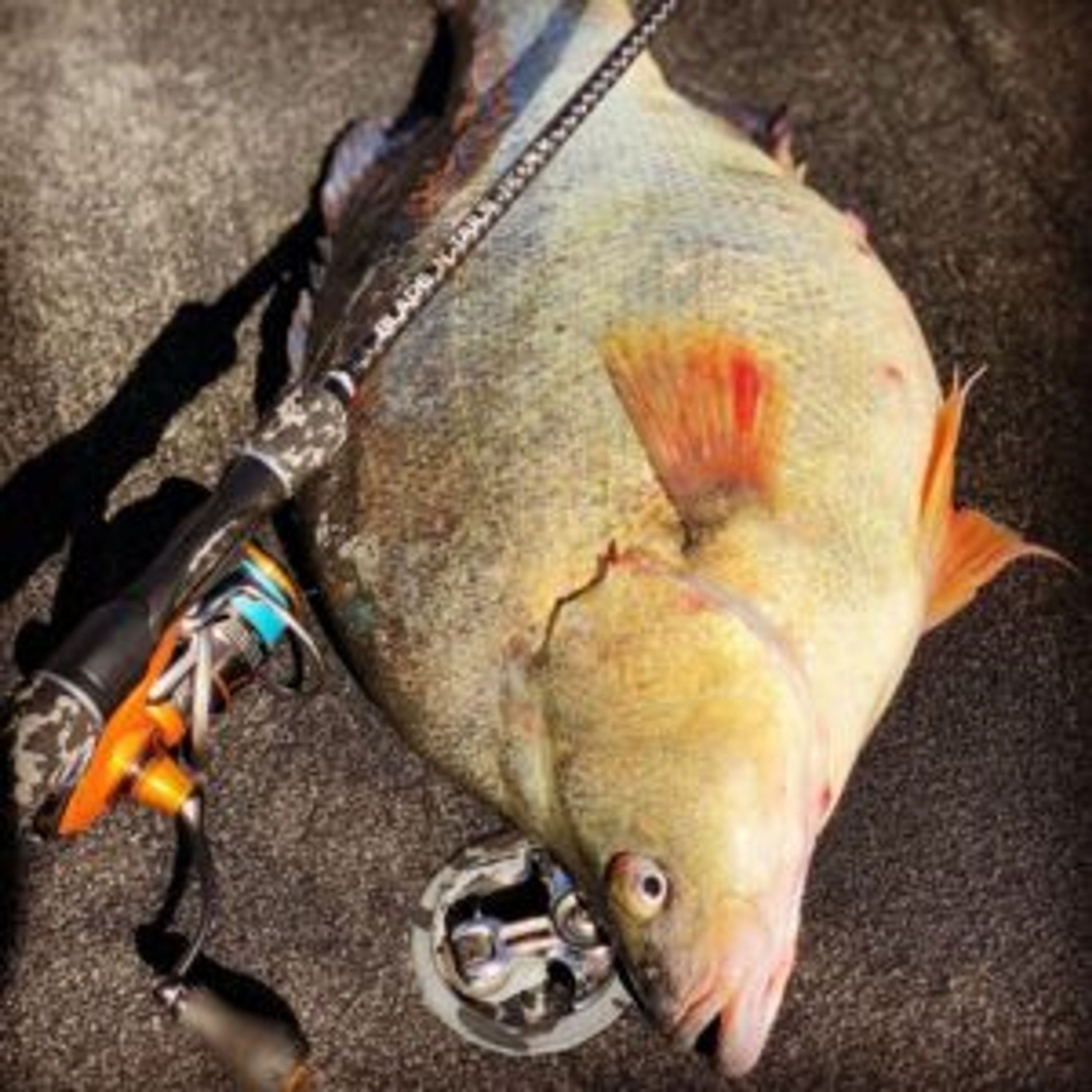 Outback Angler