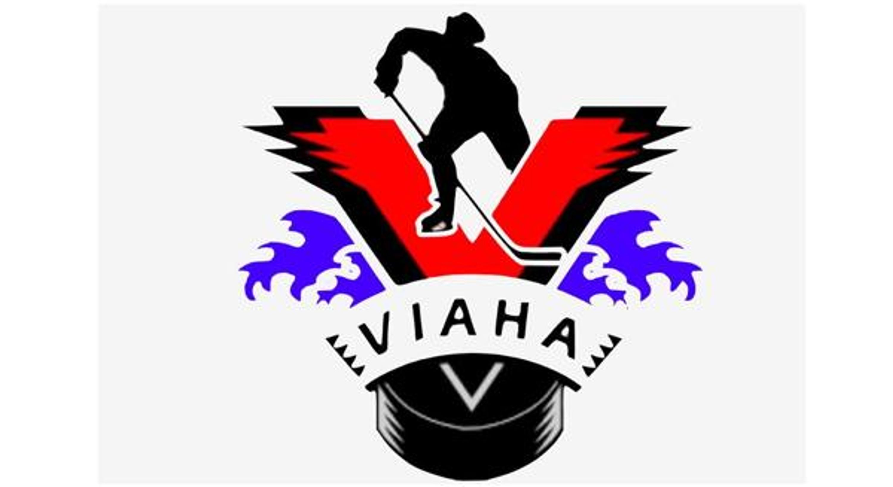 JDF Minor Hockey